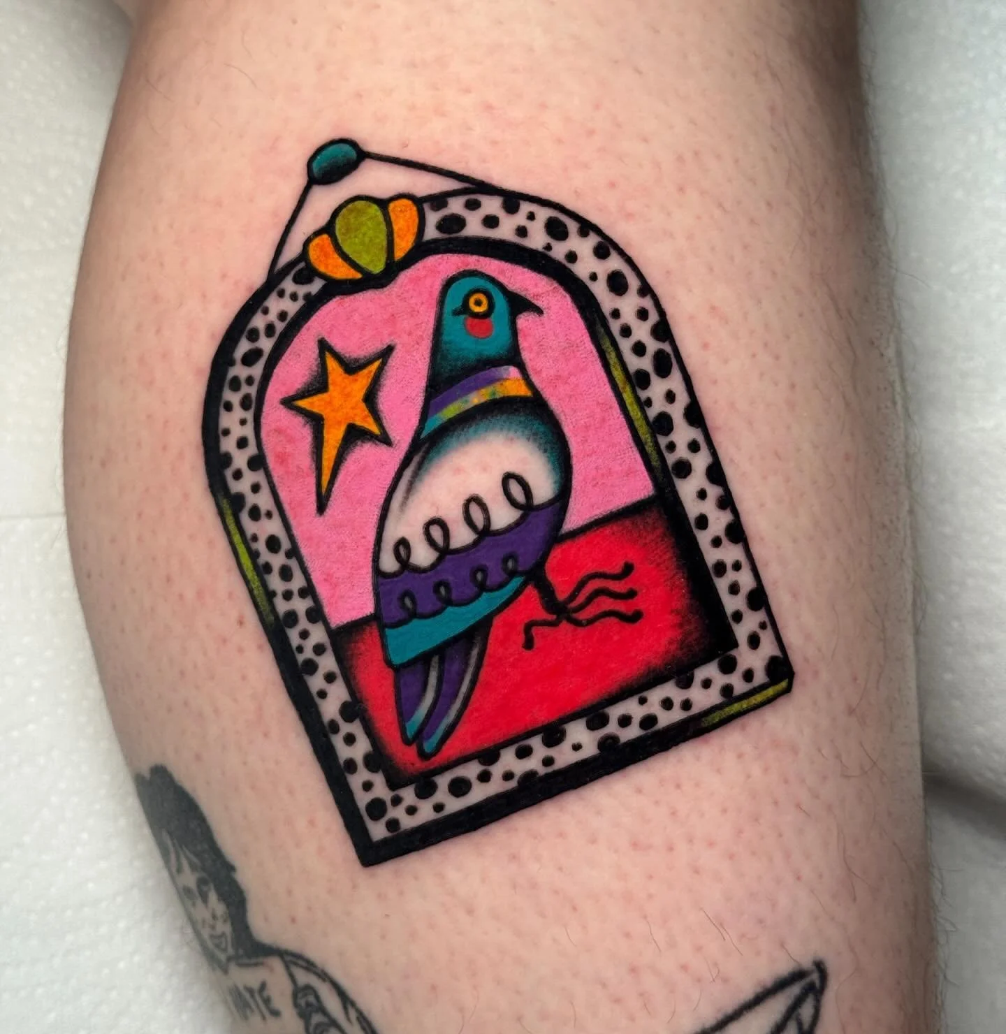 couldn&rsquo;t finish the year without posting this diva on the main! Miss Pidge made for the lovely &amp; talented Amalia! Swipe to the end to see what she made for me it was so cute my voice raised at least two octives!! 💖

One from my framed flas