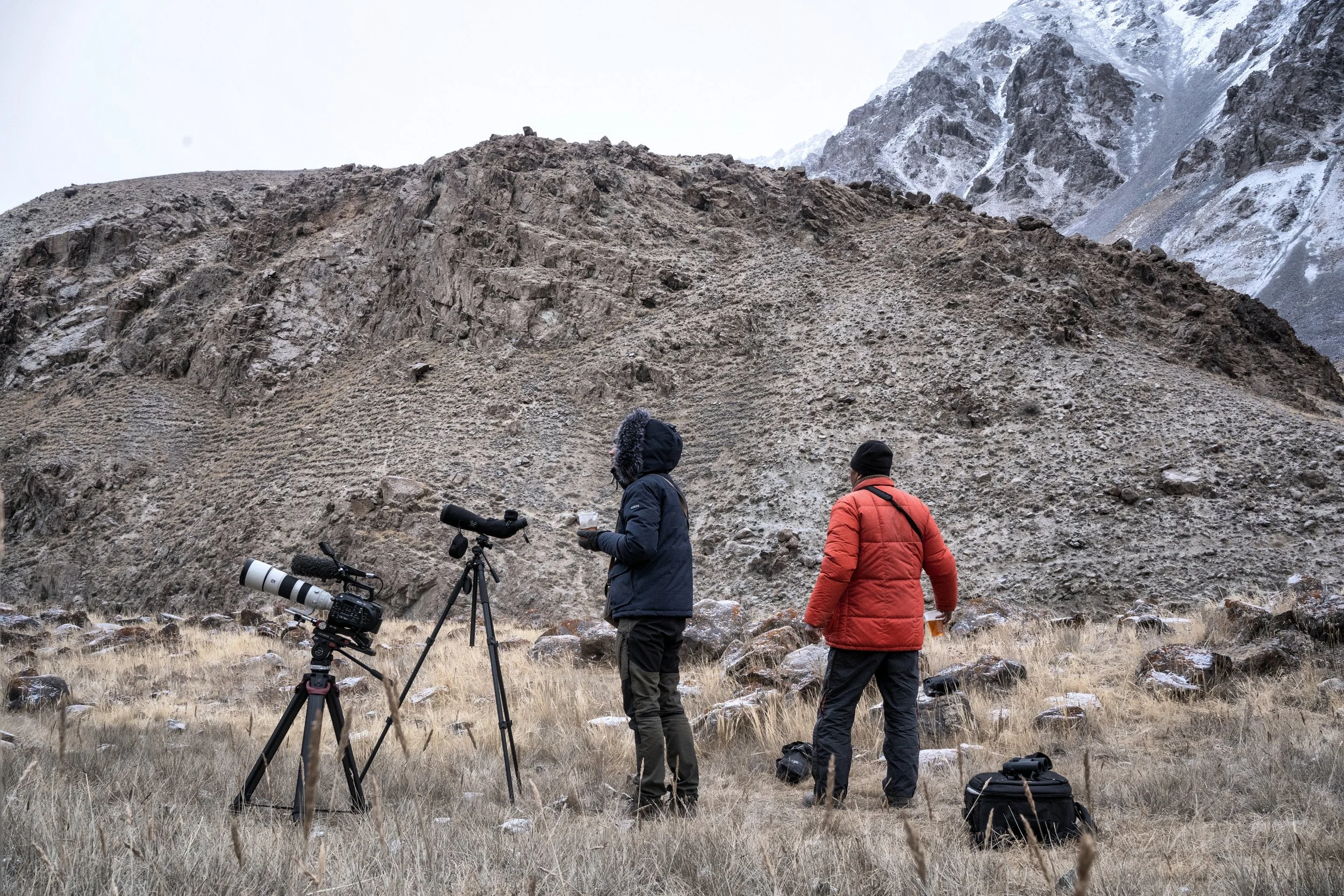 2021-04-15 17_47_16.248+0100.jpg