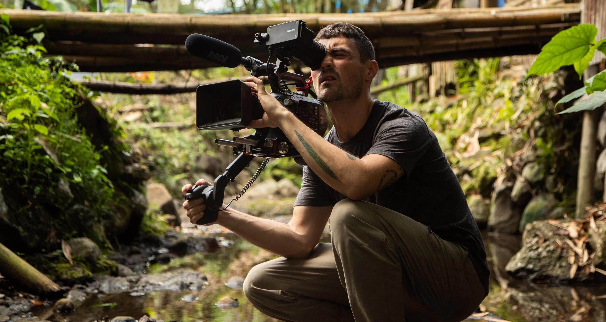 Queen of Birds (2020)