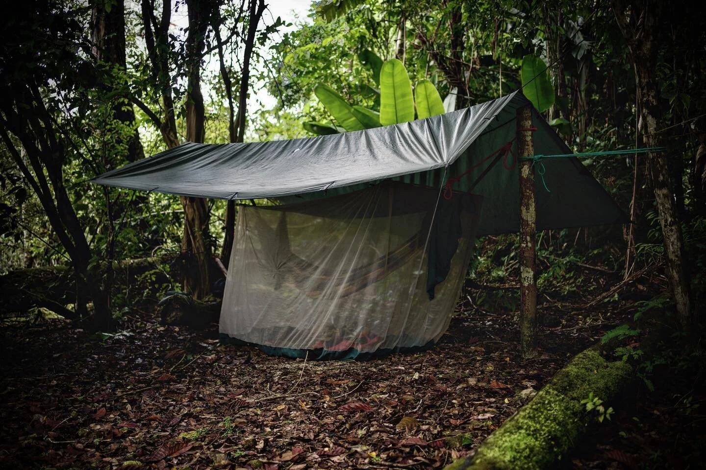 Heading out to the jungle in a month today! Can&rsquo;t wait for this little hammock to be home again for 6 weeks in Honduras.

As part of a long term study into a critically important forest, full of endemic and threatened species, I&rsquo;ll be mis