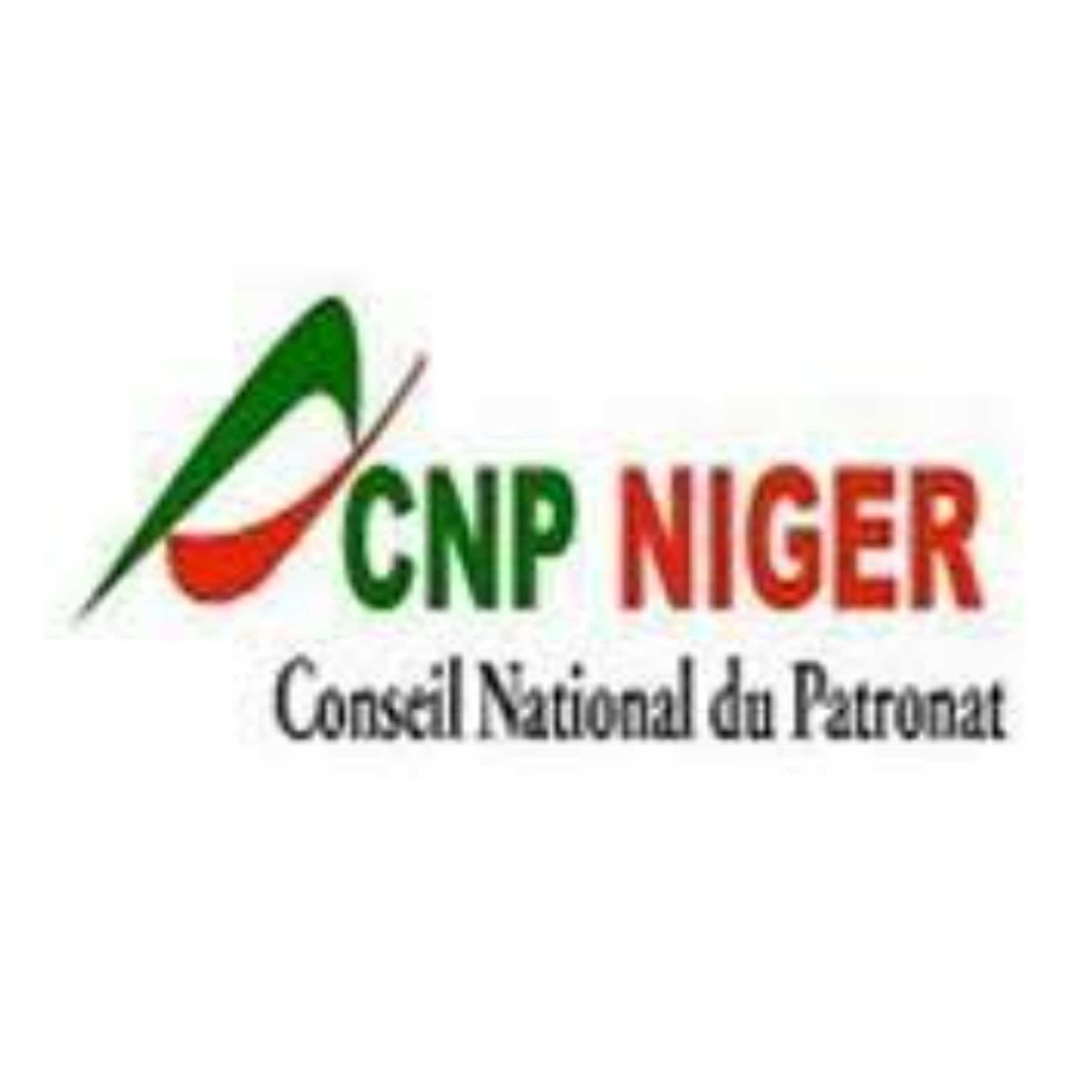 Niger CNP.jpg