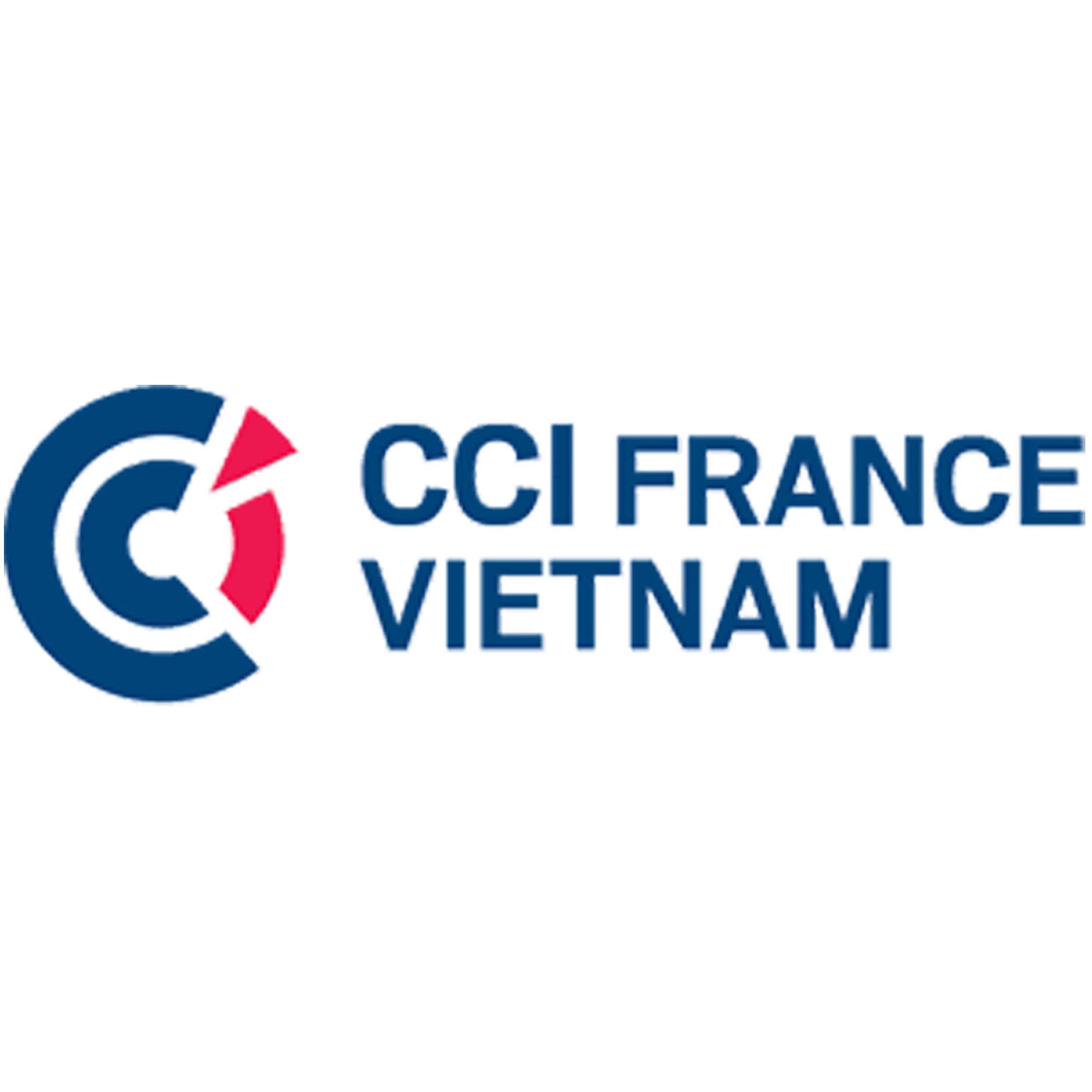 Vietnam CCI France Vitenam.jpg