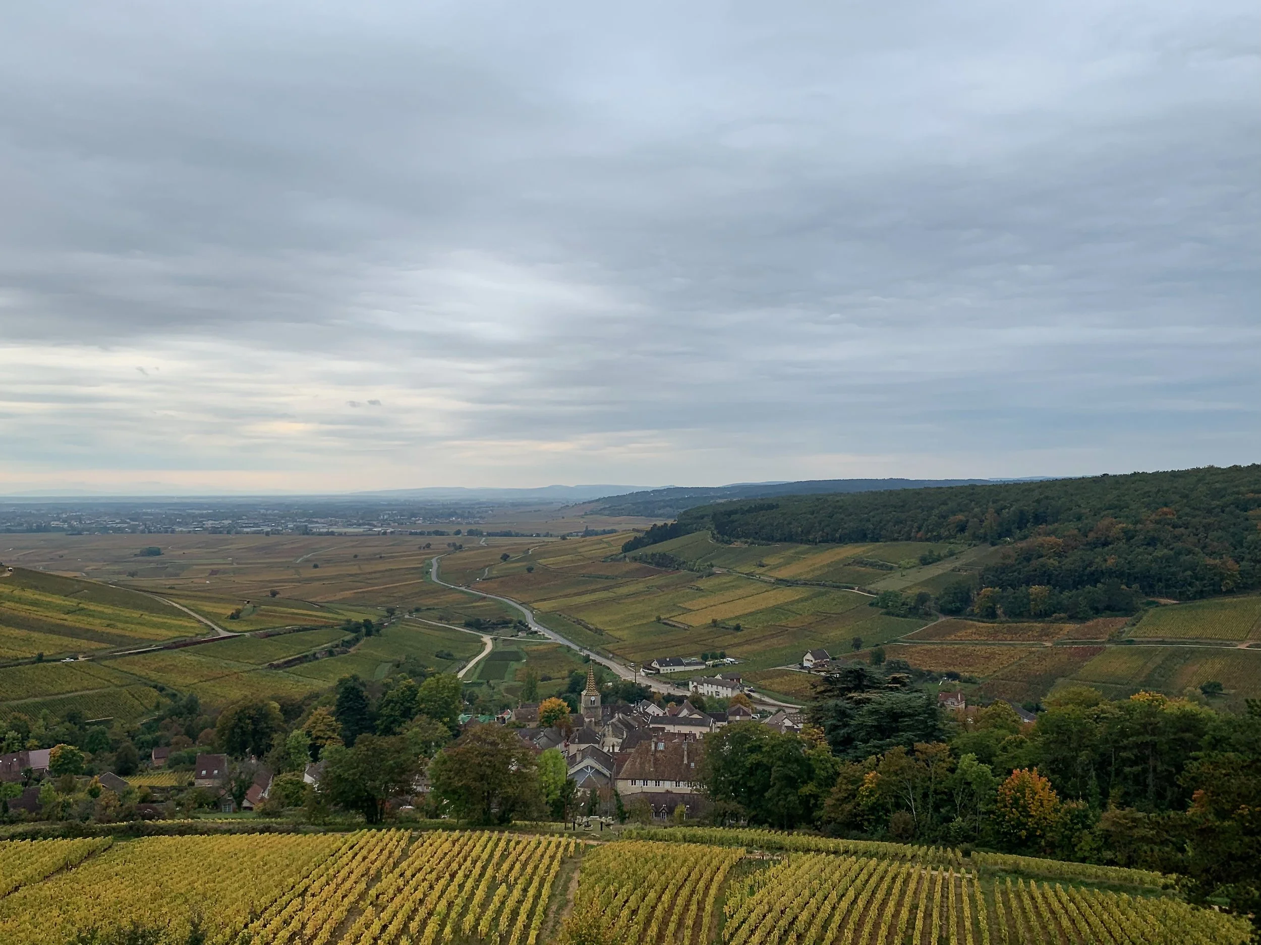 Corton-Charlemagne: the Grand Cru of the future?