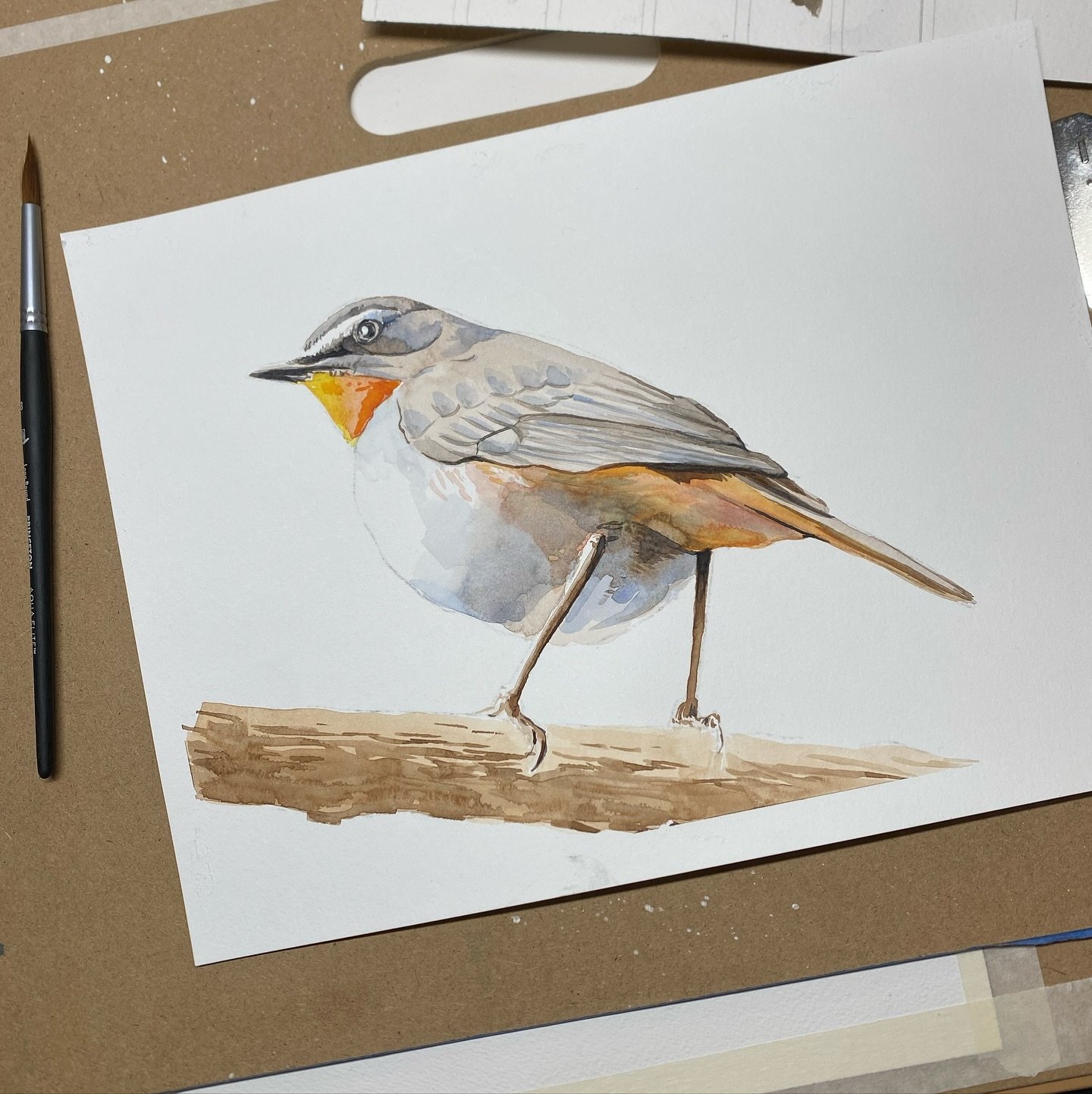 My Robin from the hour and a half workshop I taught at @artclasseswithmaryshadbolt this morning. Some students came with all their own supplies (and good supplies at that!) and some came with nothing at all - not even the experience of using a brush 