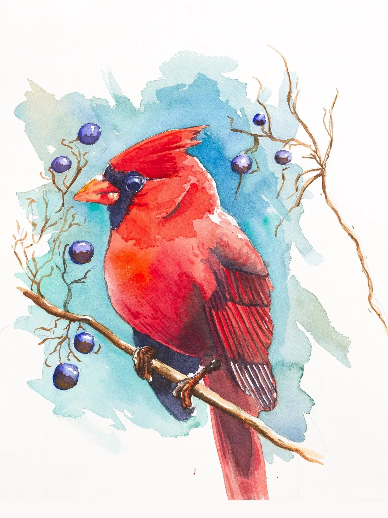 cardinal-9x16.jpg