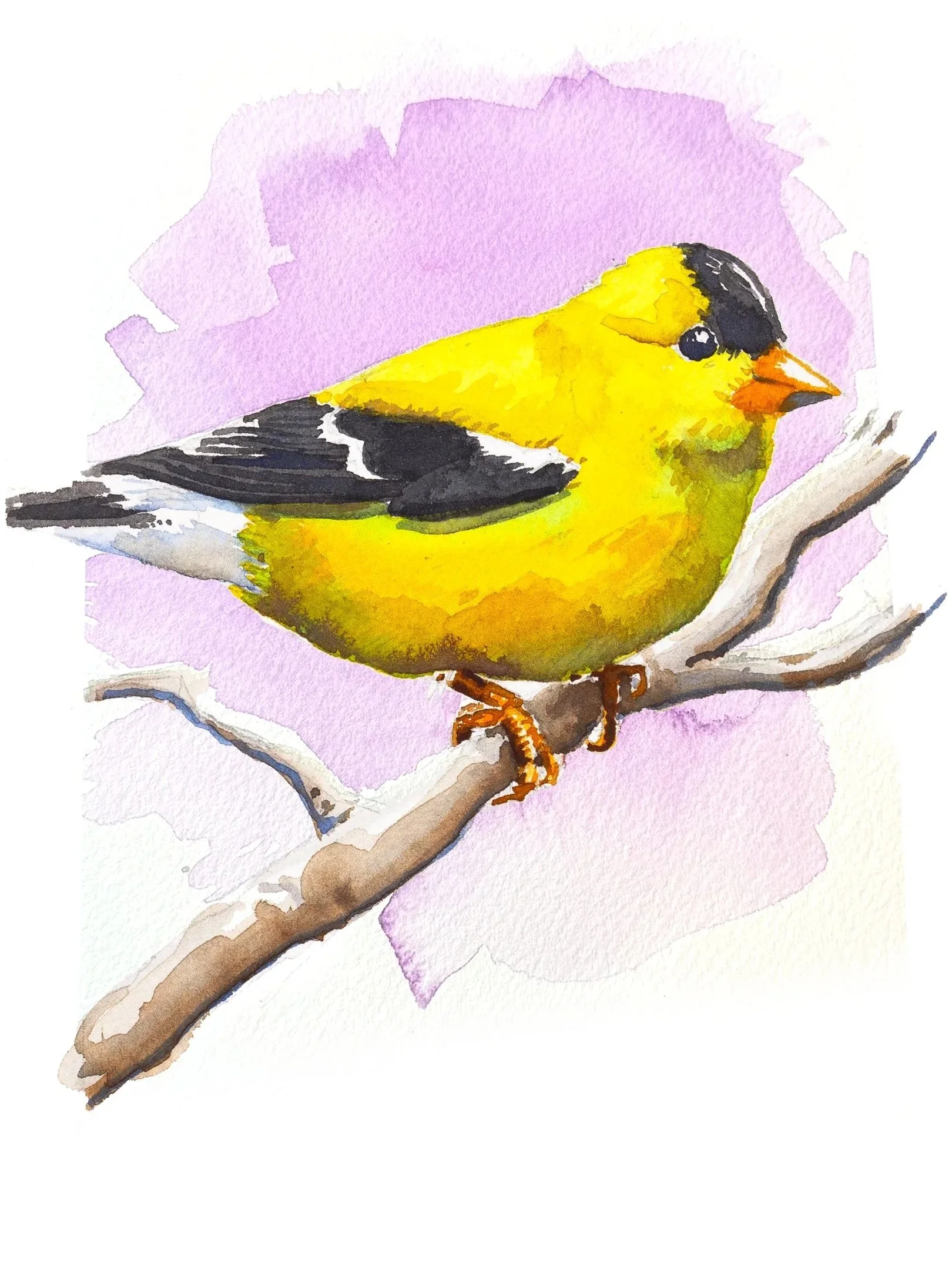 goldfinch-9x16_v2.jpg