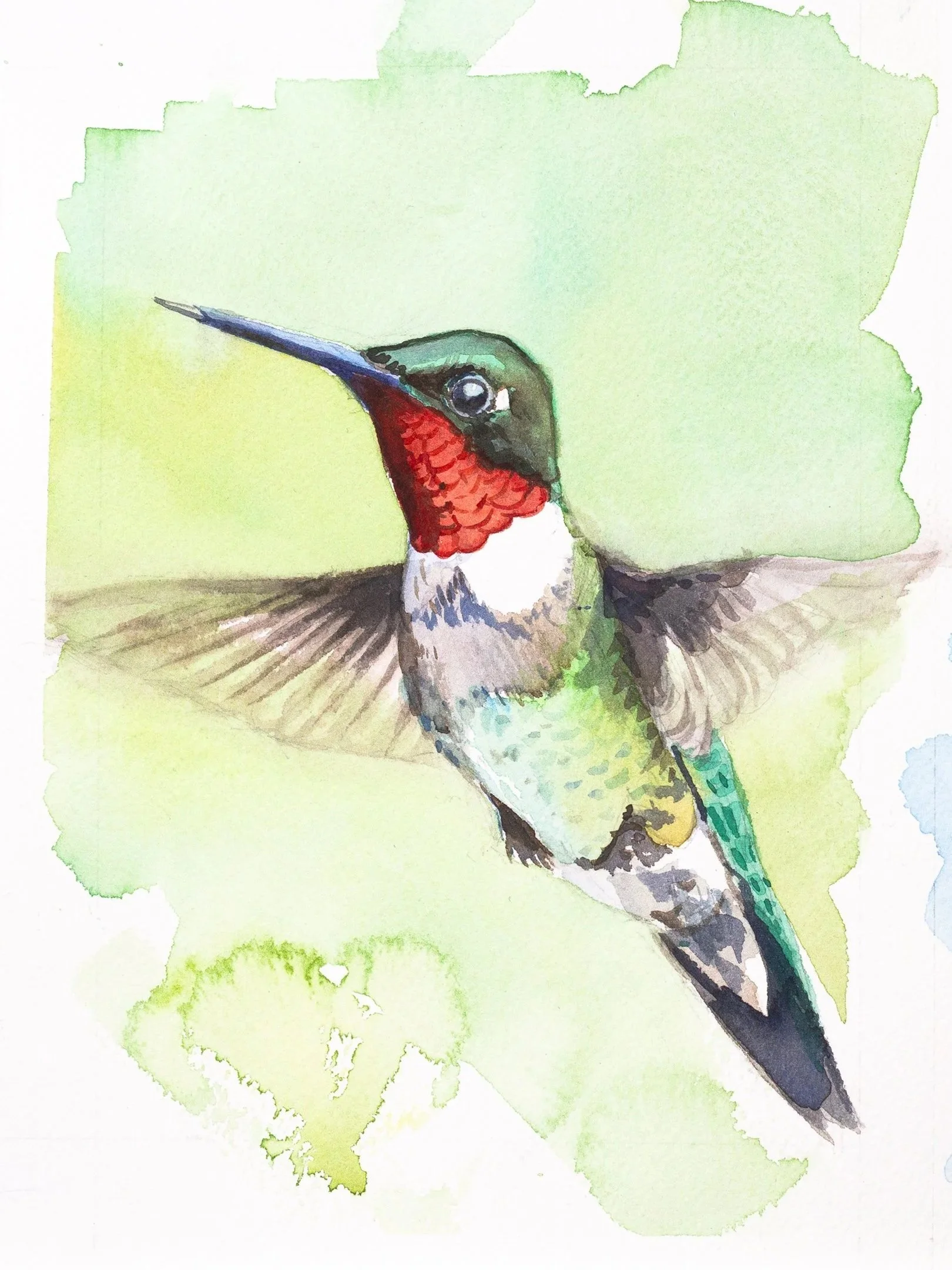 hummingbird-9x12.jpg
