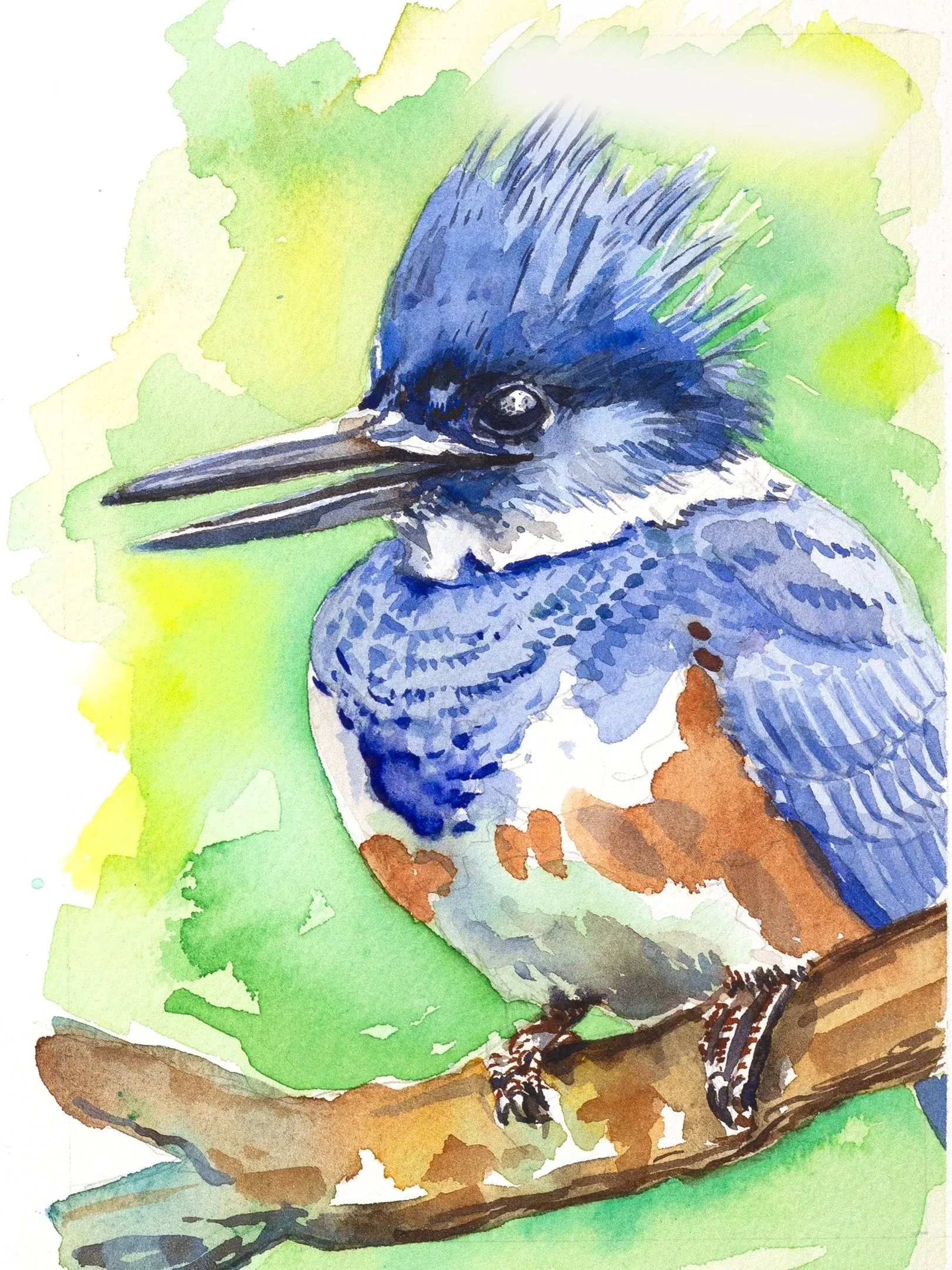 kingfisher-9x16.jpg