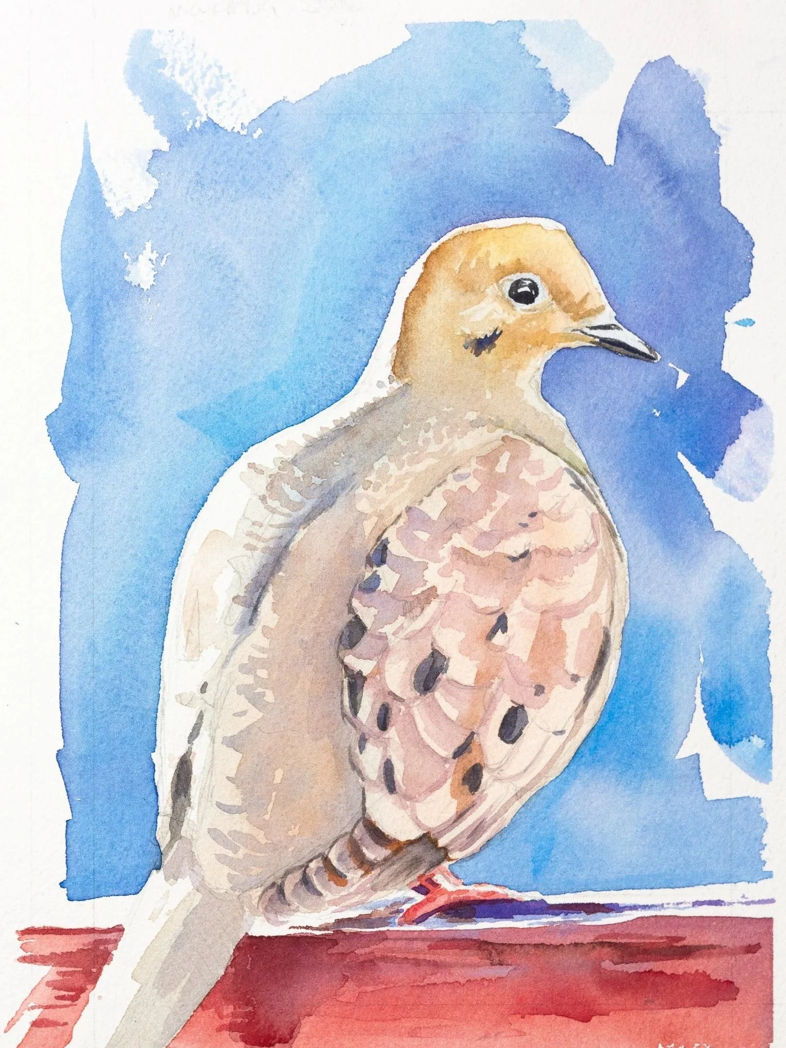 mourning-dove-9x16.jpg