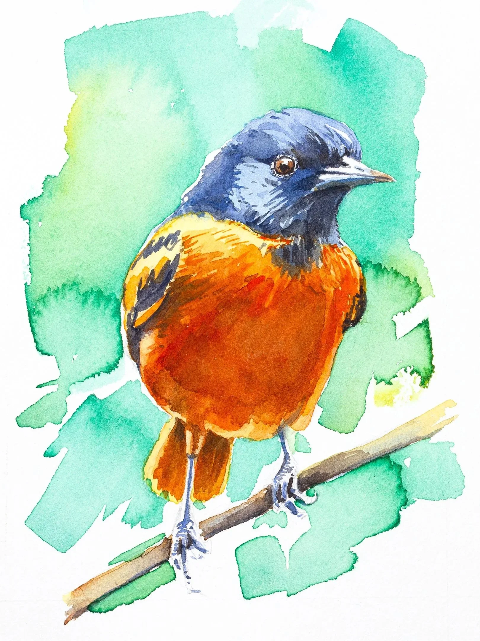 oriole-9x16.jpg