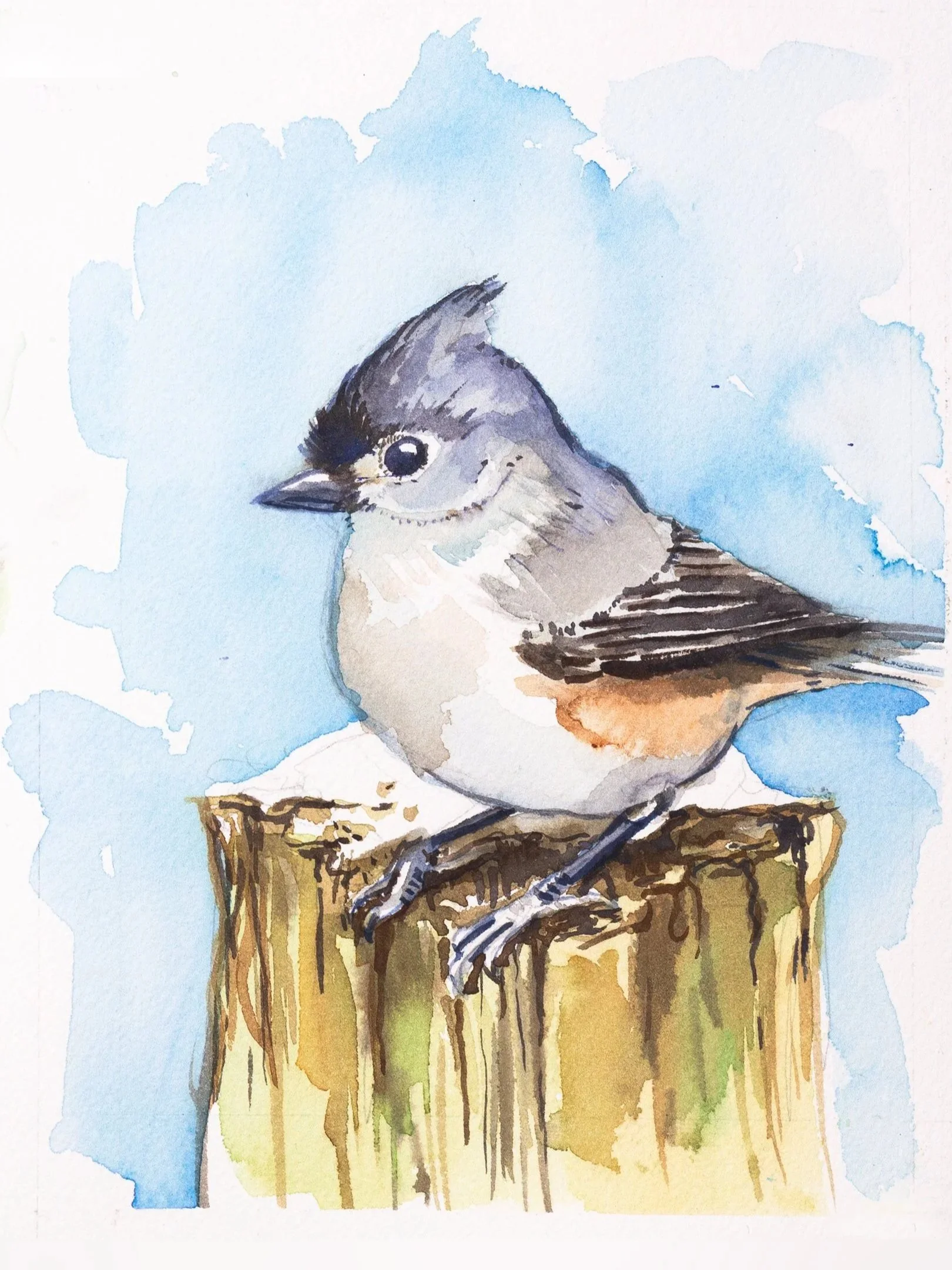 titmouse-9x16.jpg