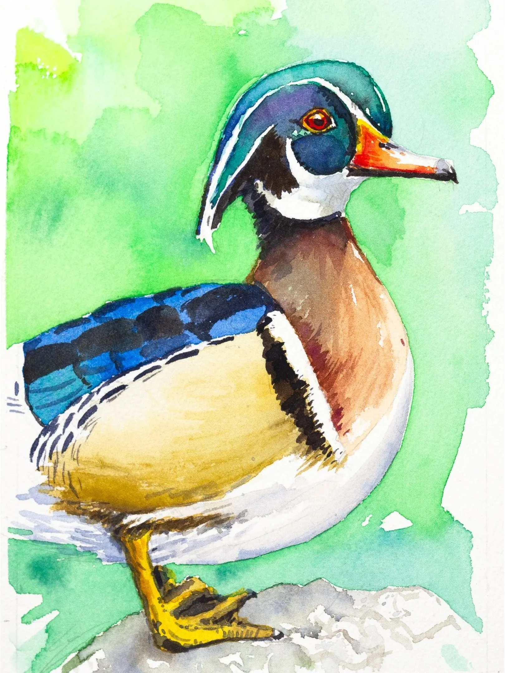 wood-duck-9x16.jpg