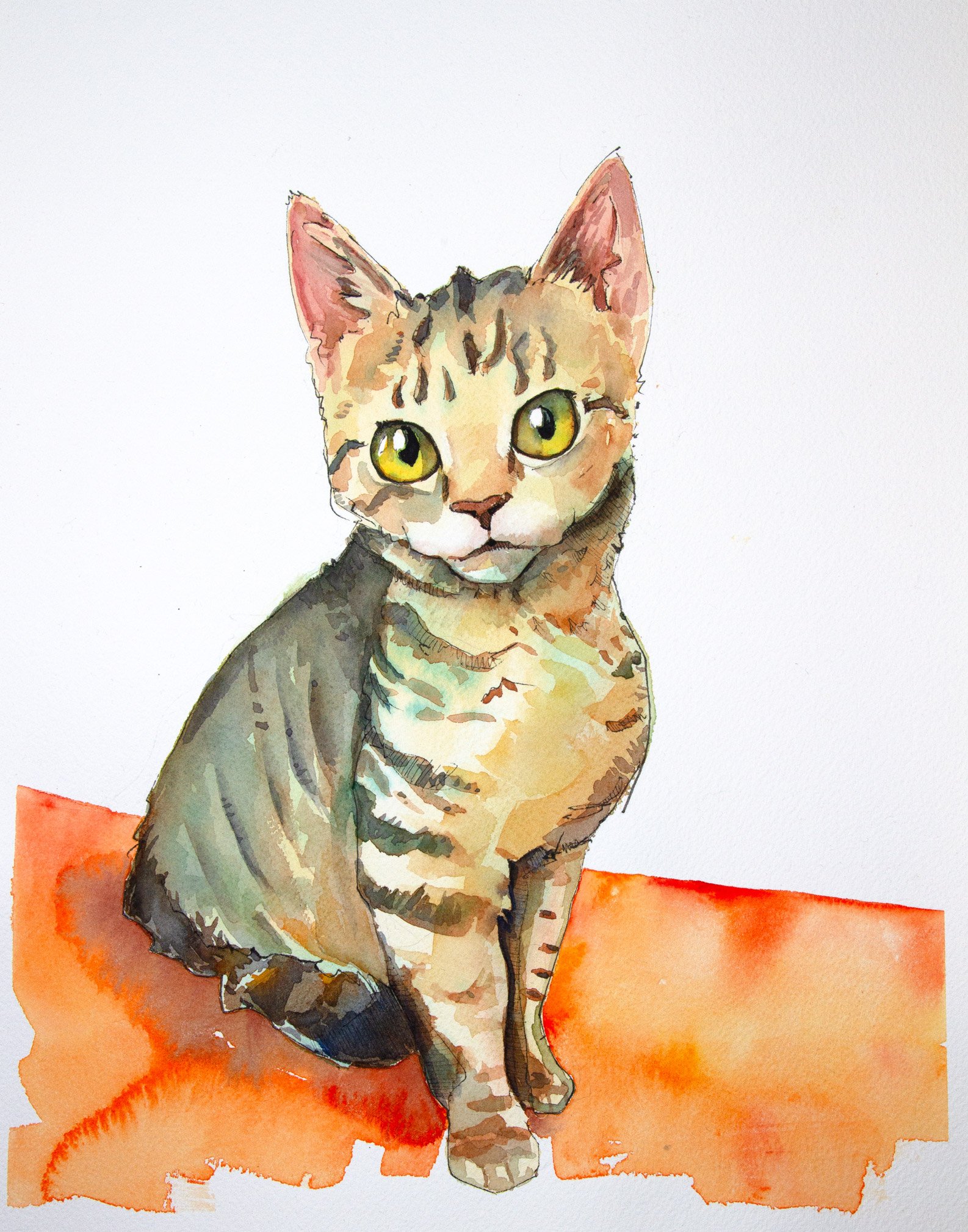 deannacat2024-1.jpg