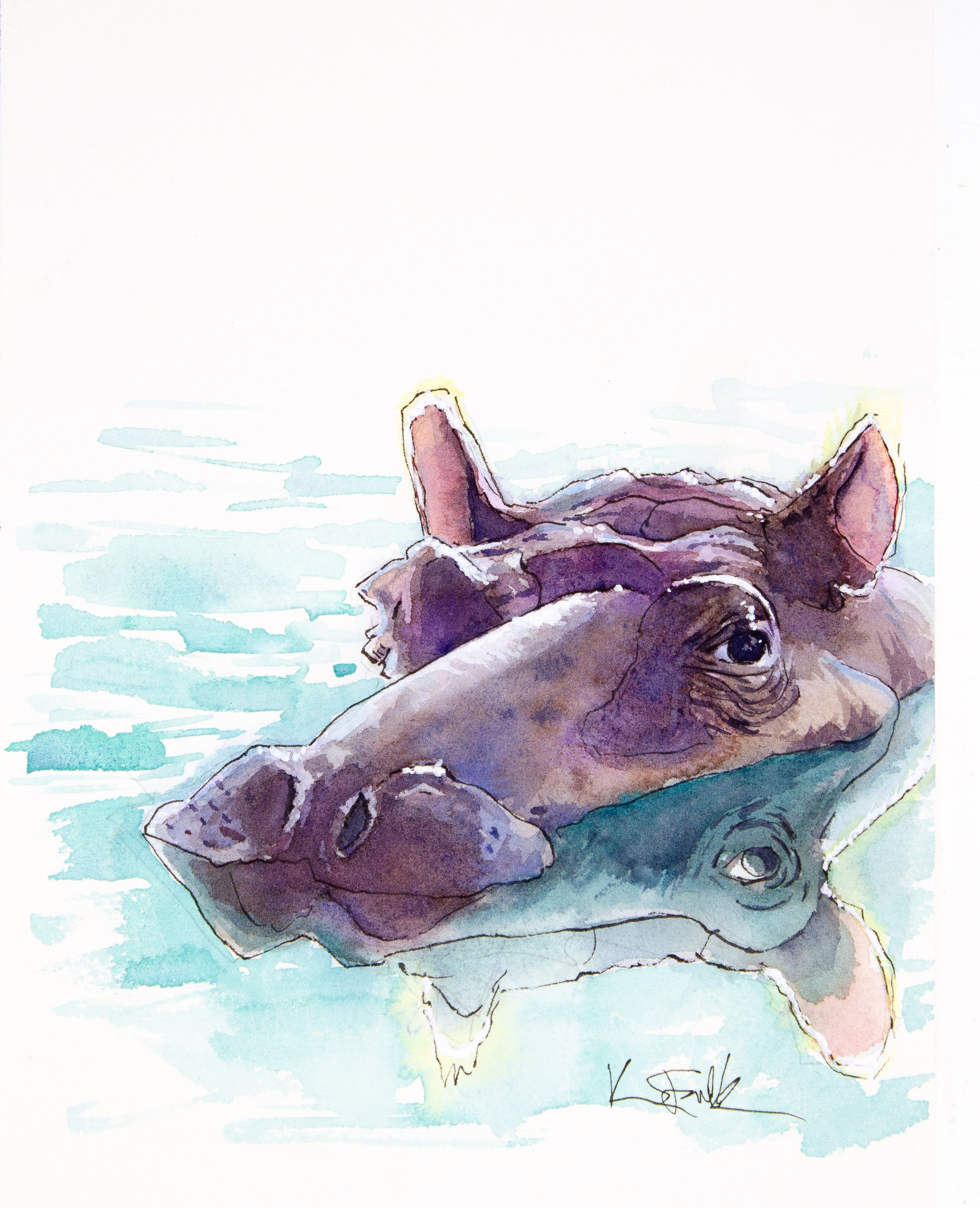 Hippo.jpg