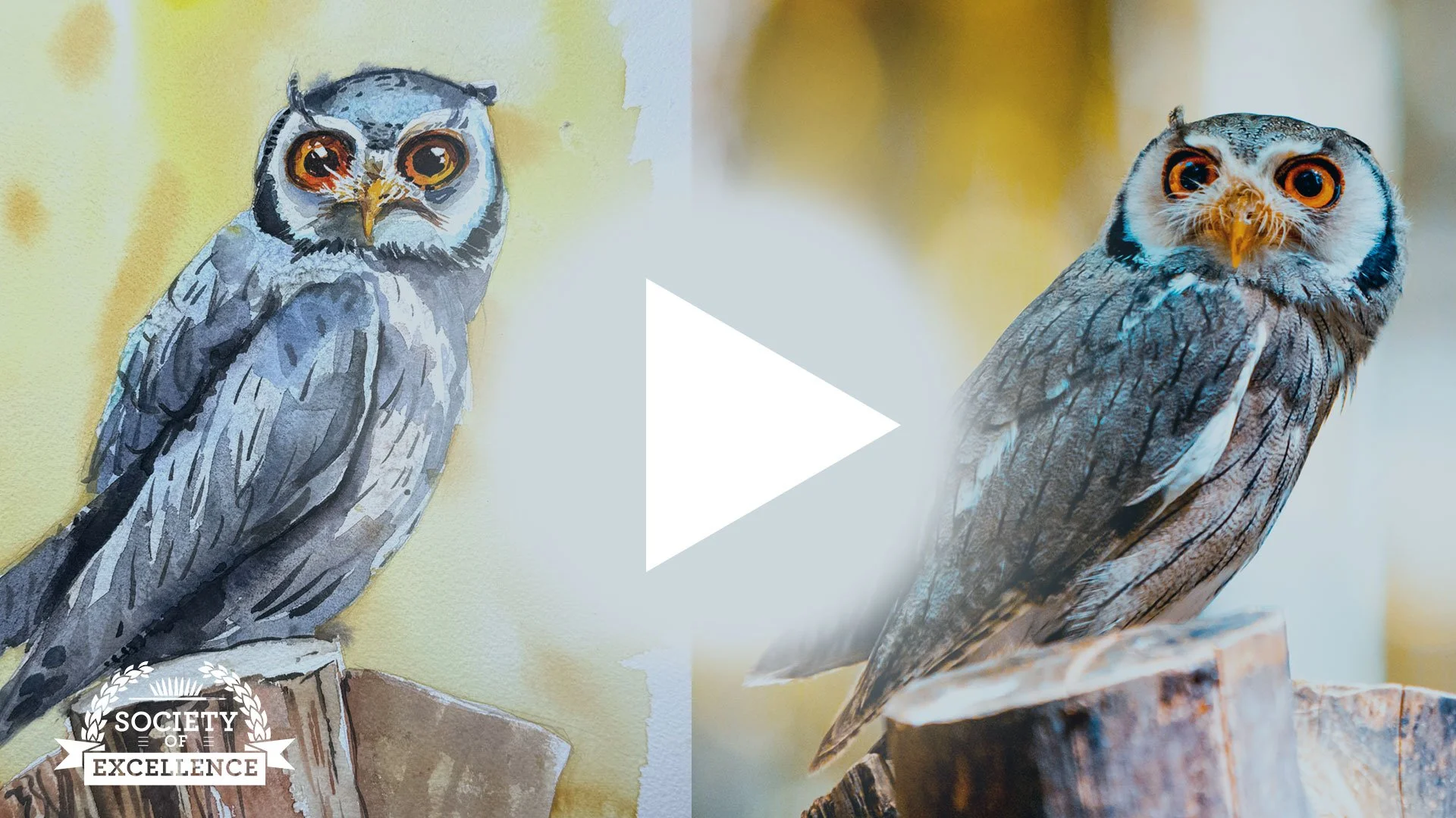 Owl - full length watercolor tutorial