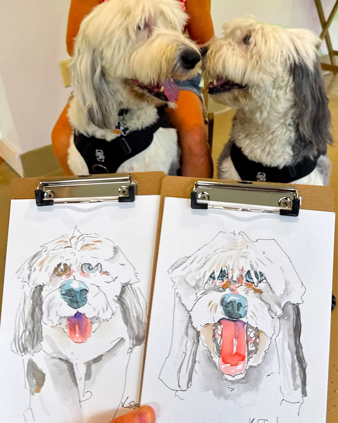 pup-up-selects_2.jpg