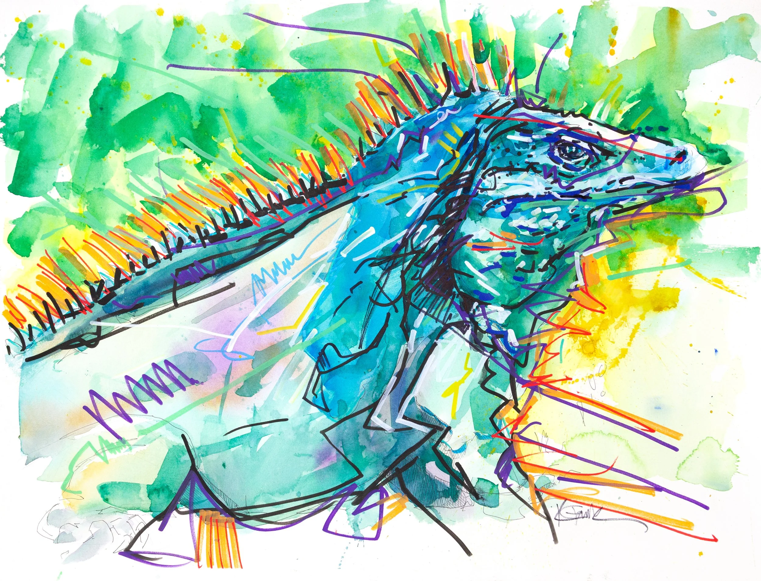 Iguana 24" x 18"