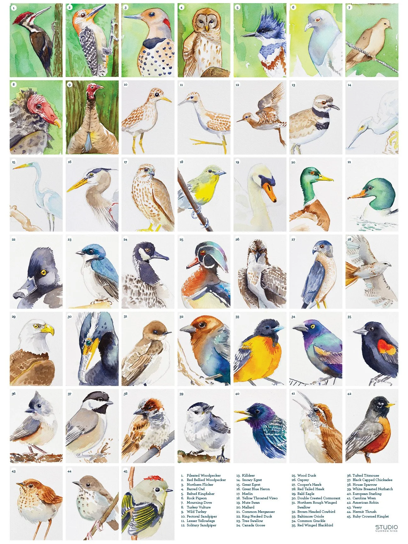 birds_poster-1.jpg