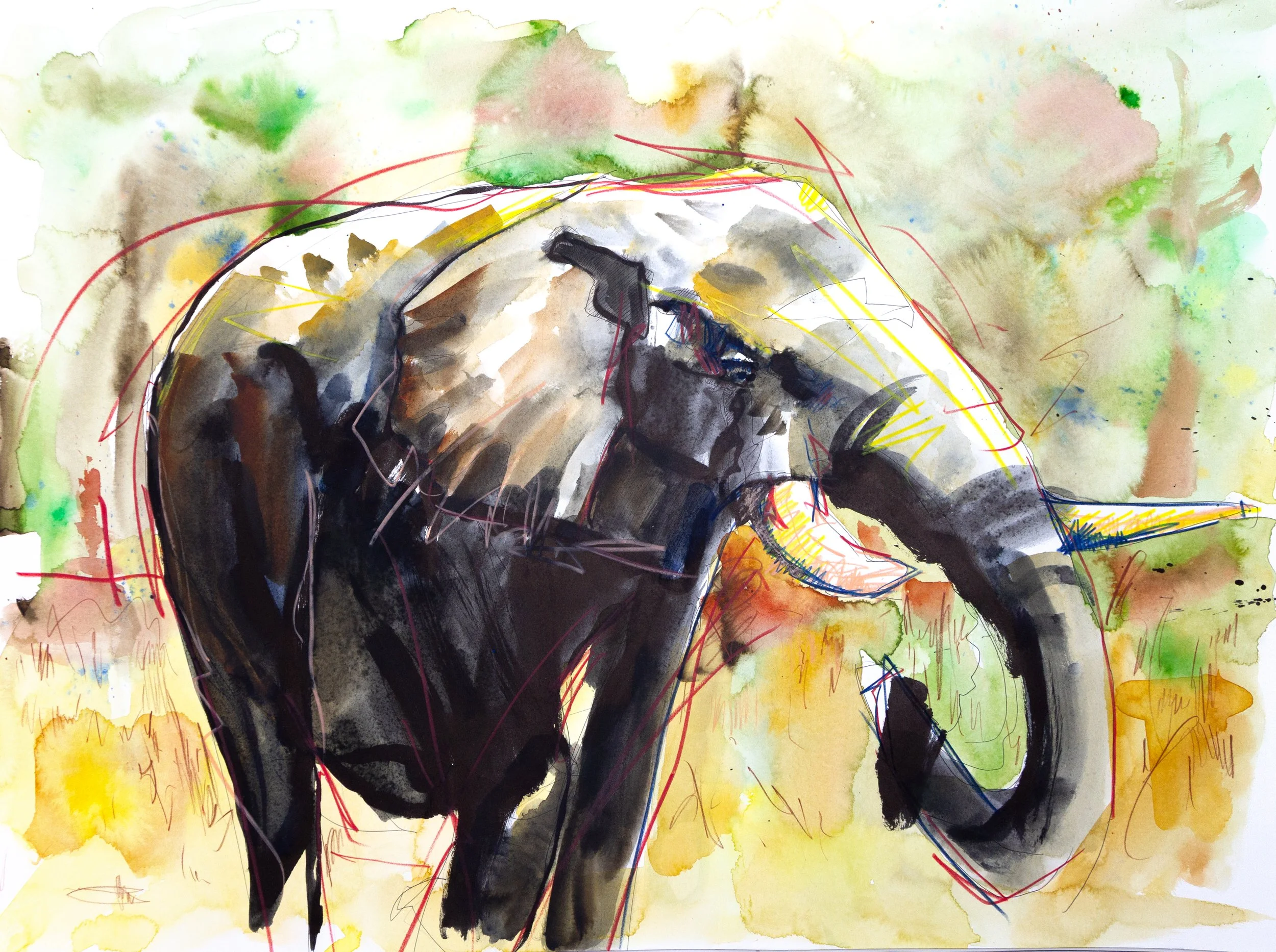 Elephant 24" x 18"