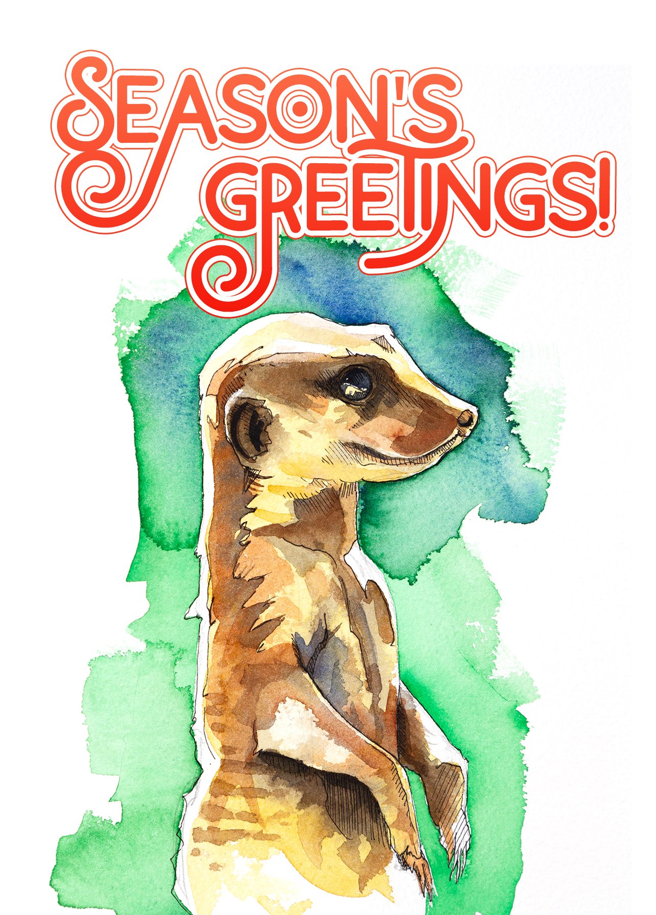 meerkat.jpg