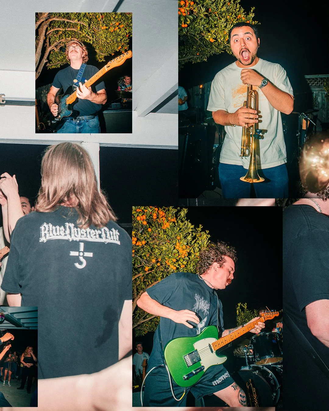 nelli-show-collage_02.jpg