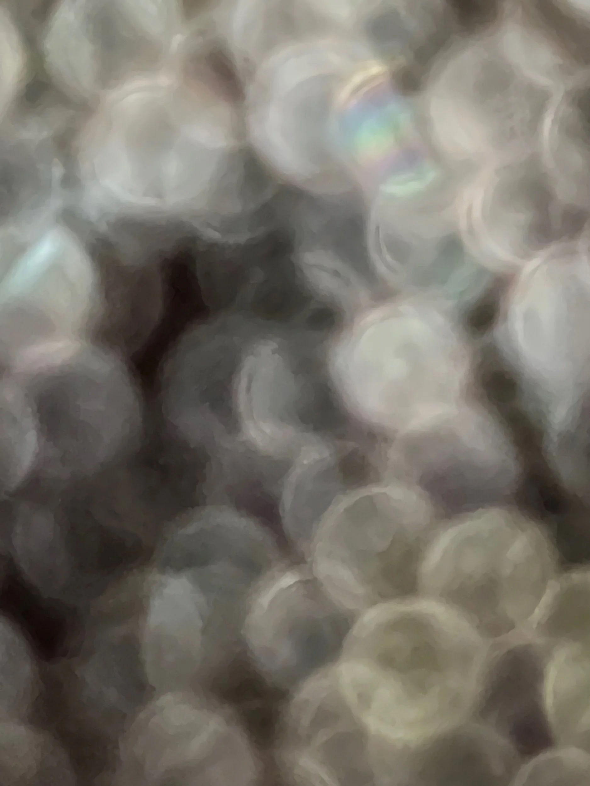 Conversation with a Kiss