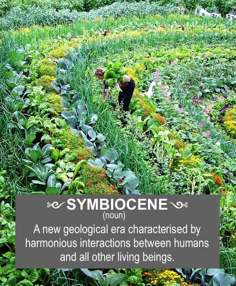Symbiocene