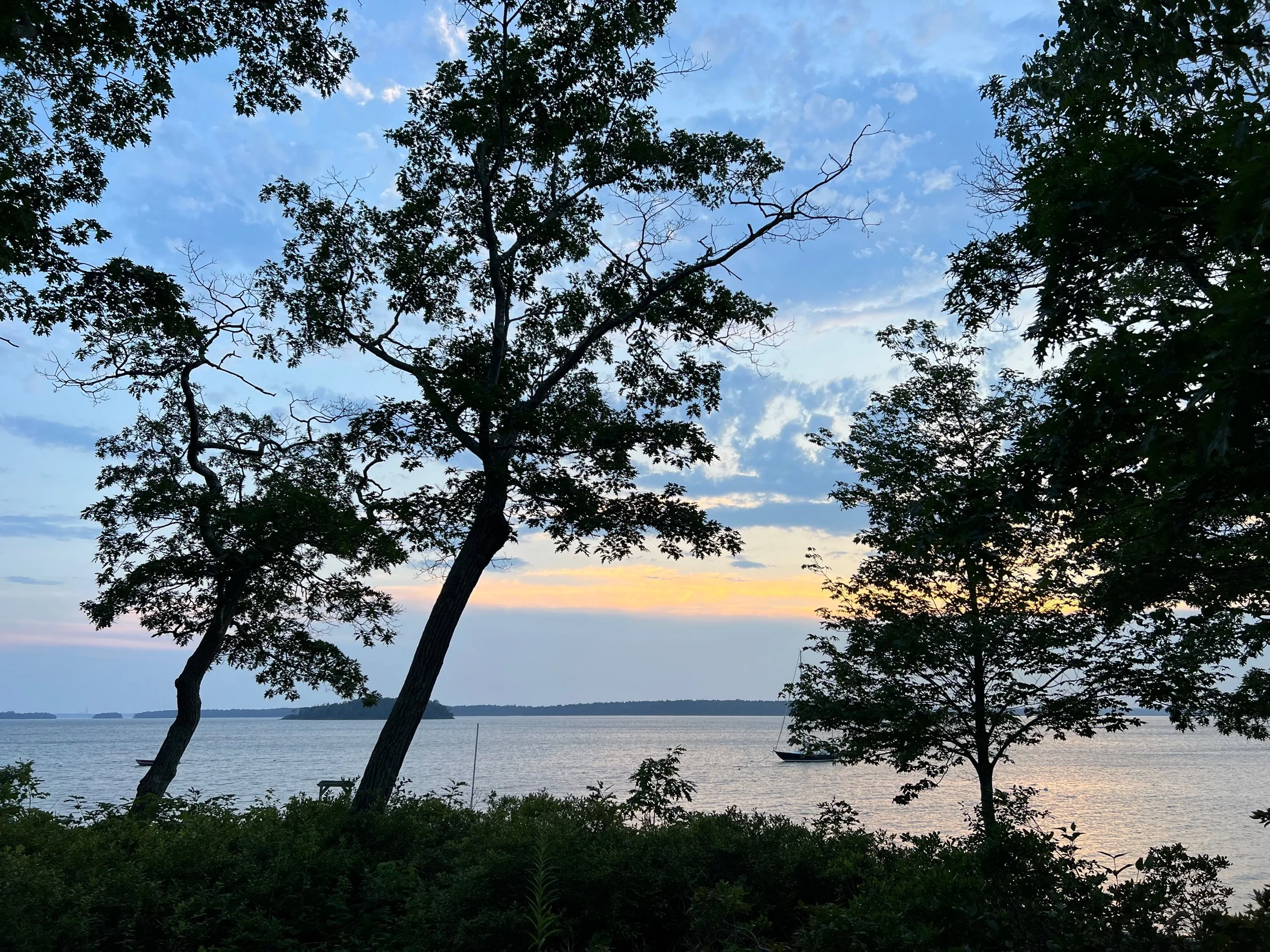 psithurism (voice of wind)