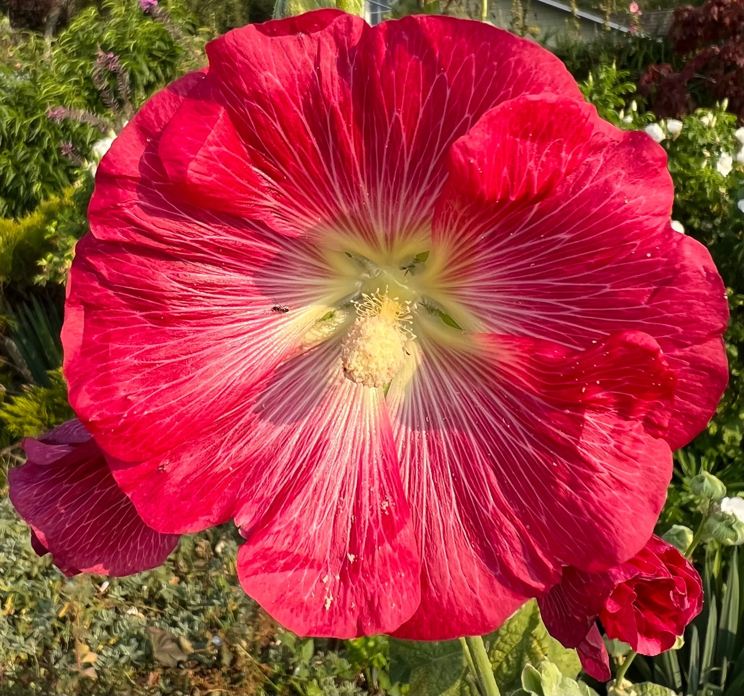 Room (you matter part 2)