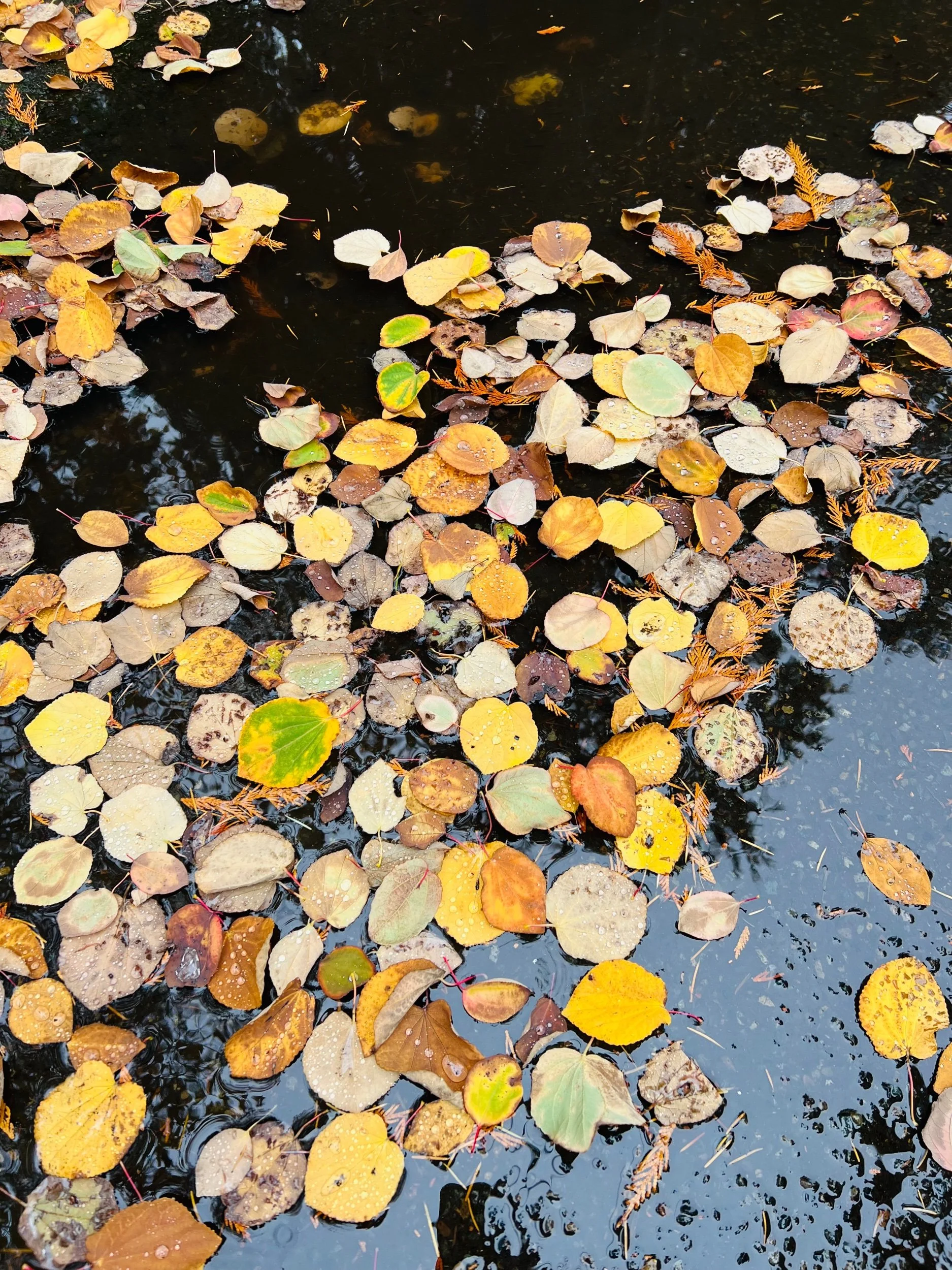 Untitled (sending prayers)