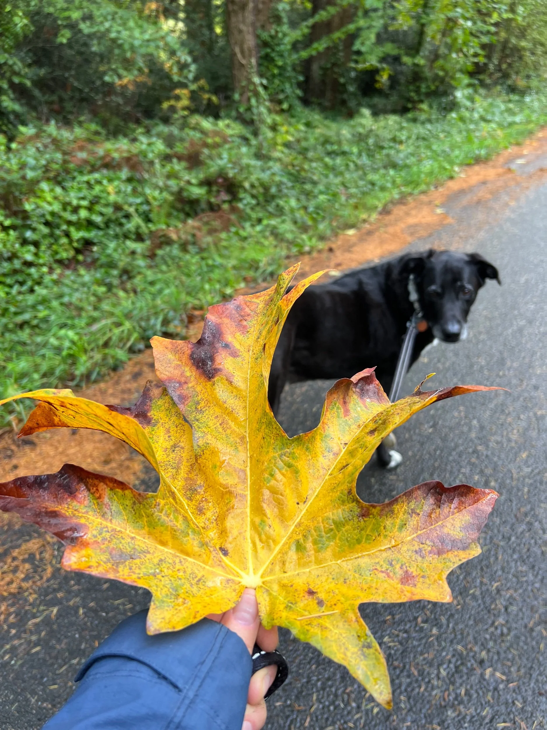 Texture of Tenderness