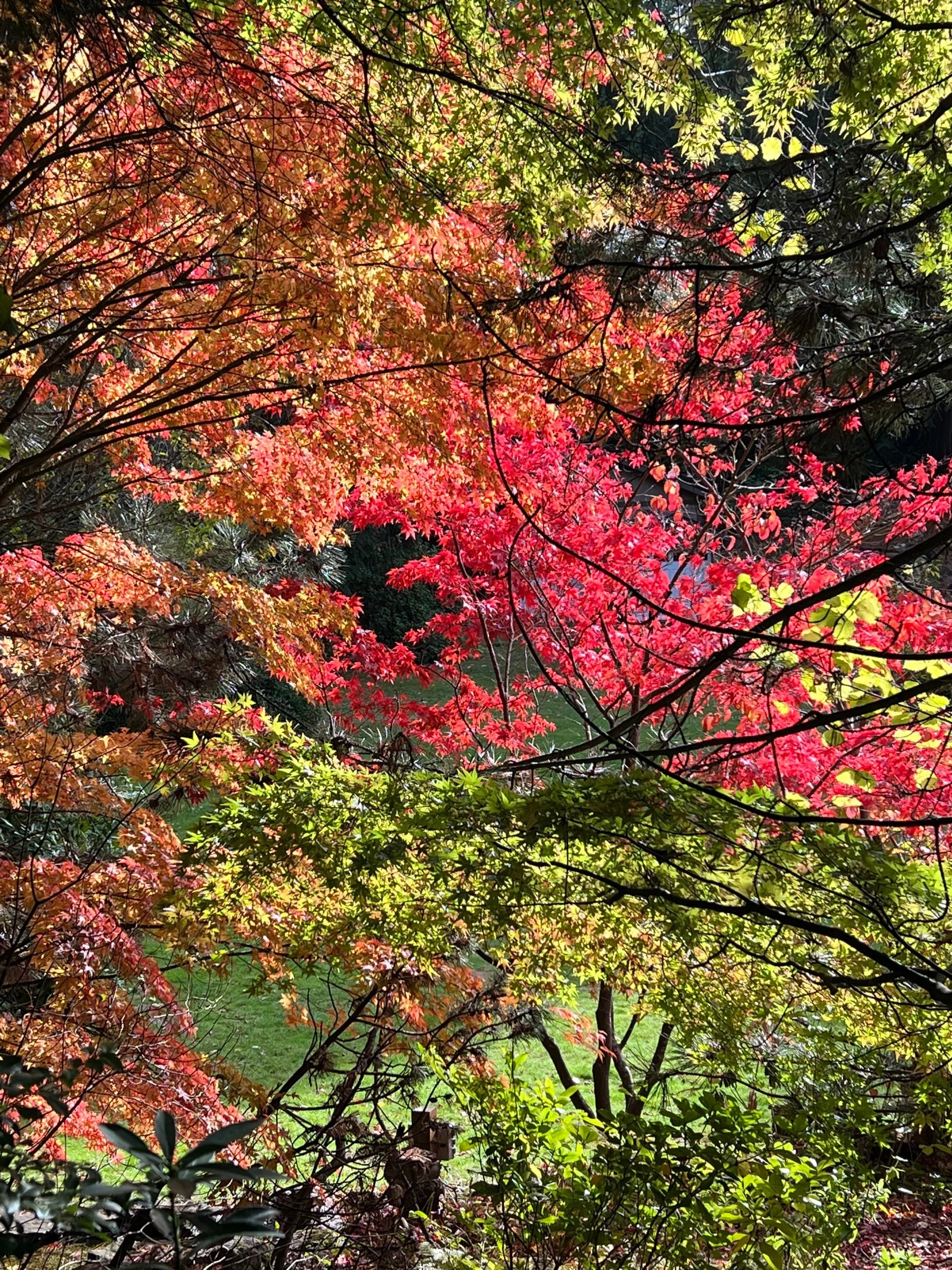 Permeations of Impermanence 