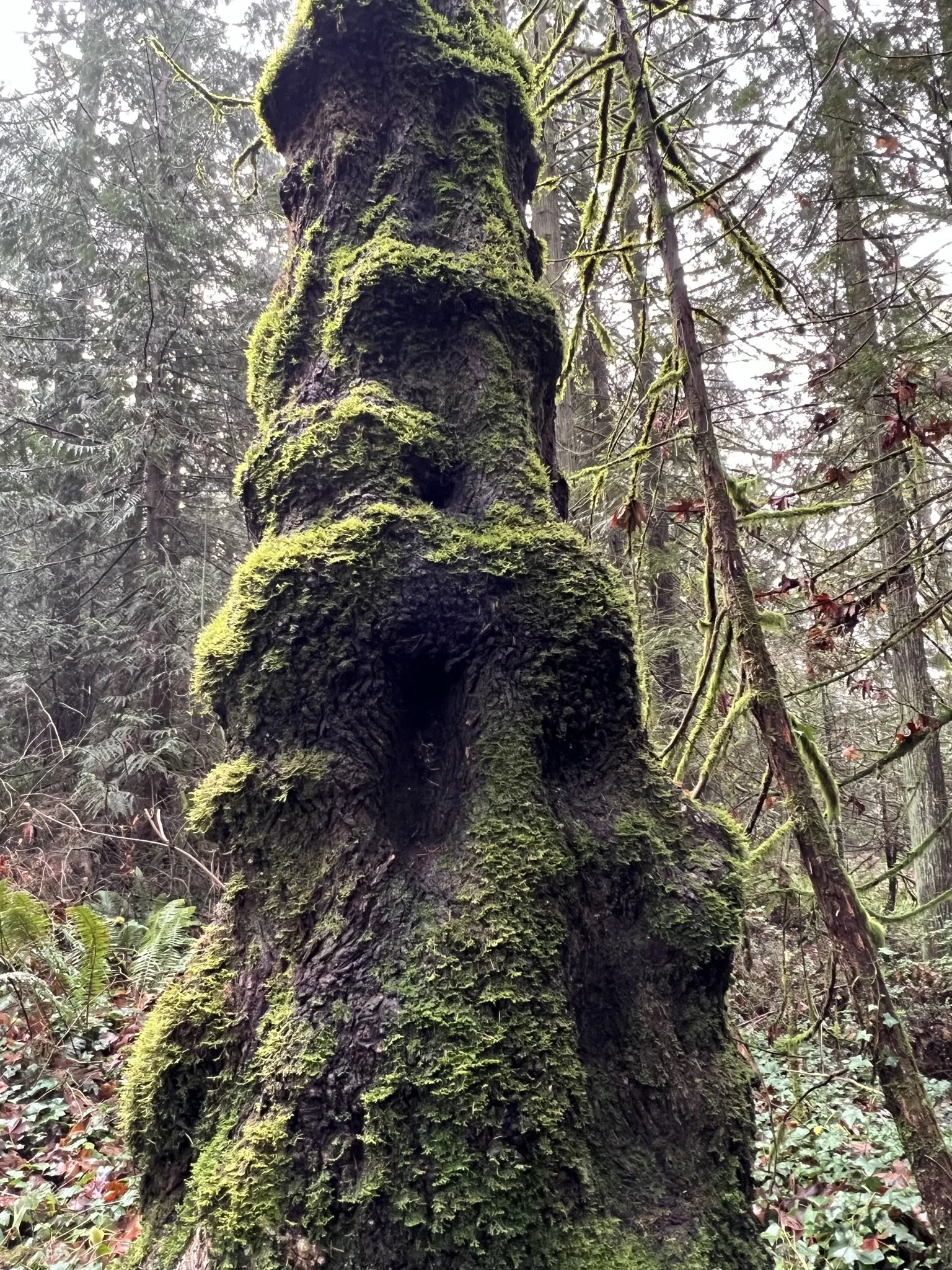 Unanswerable Questions 