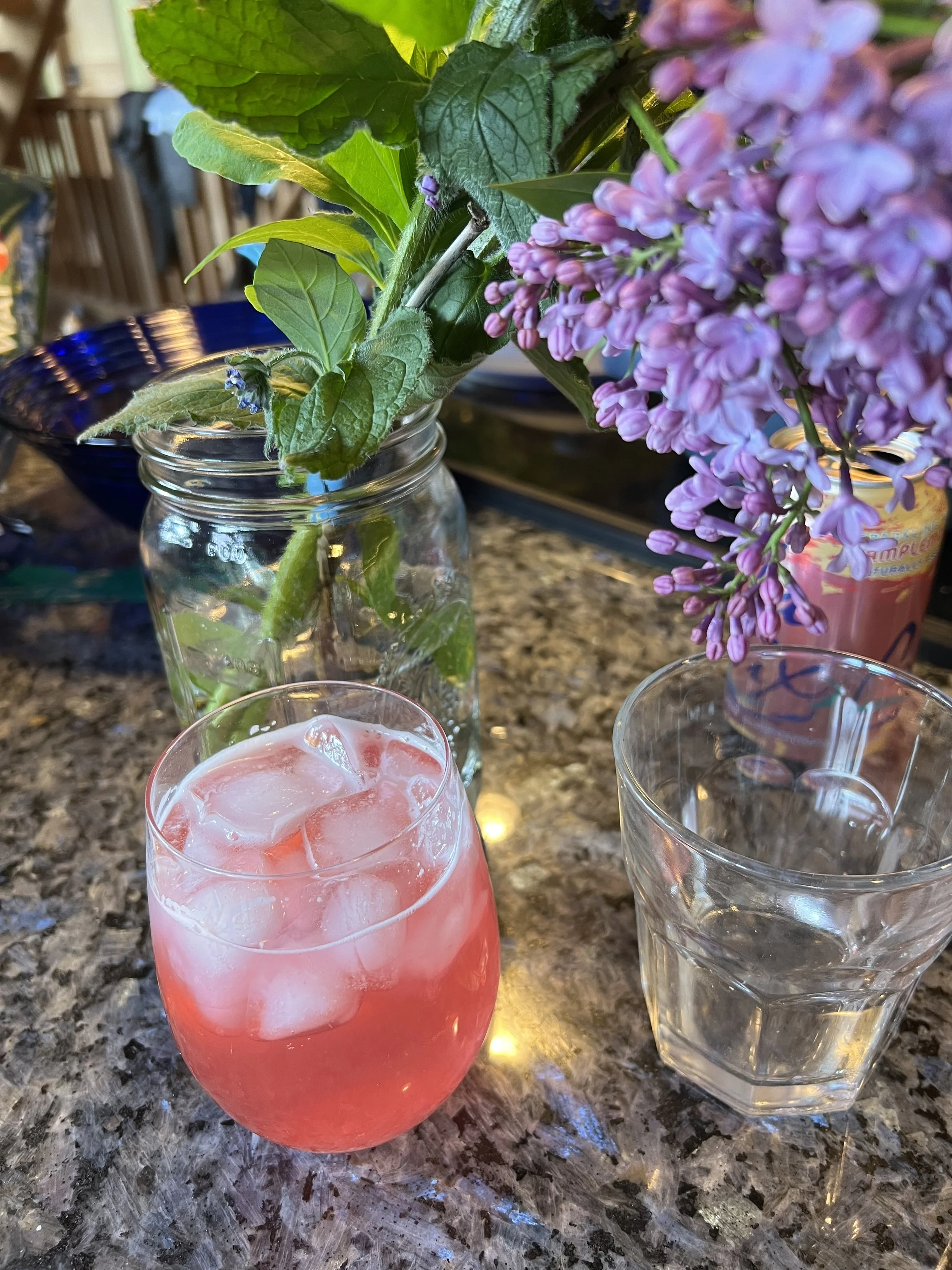 Rhubarb-ade