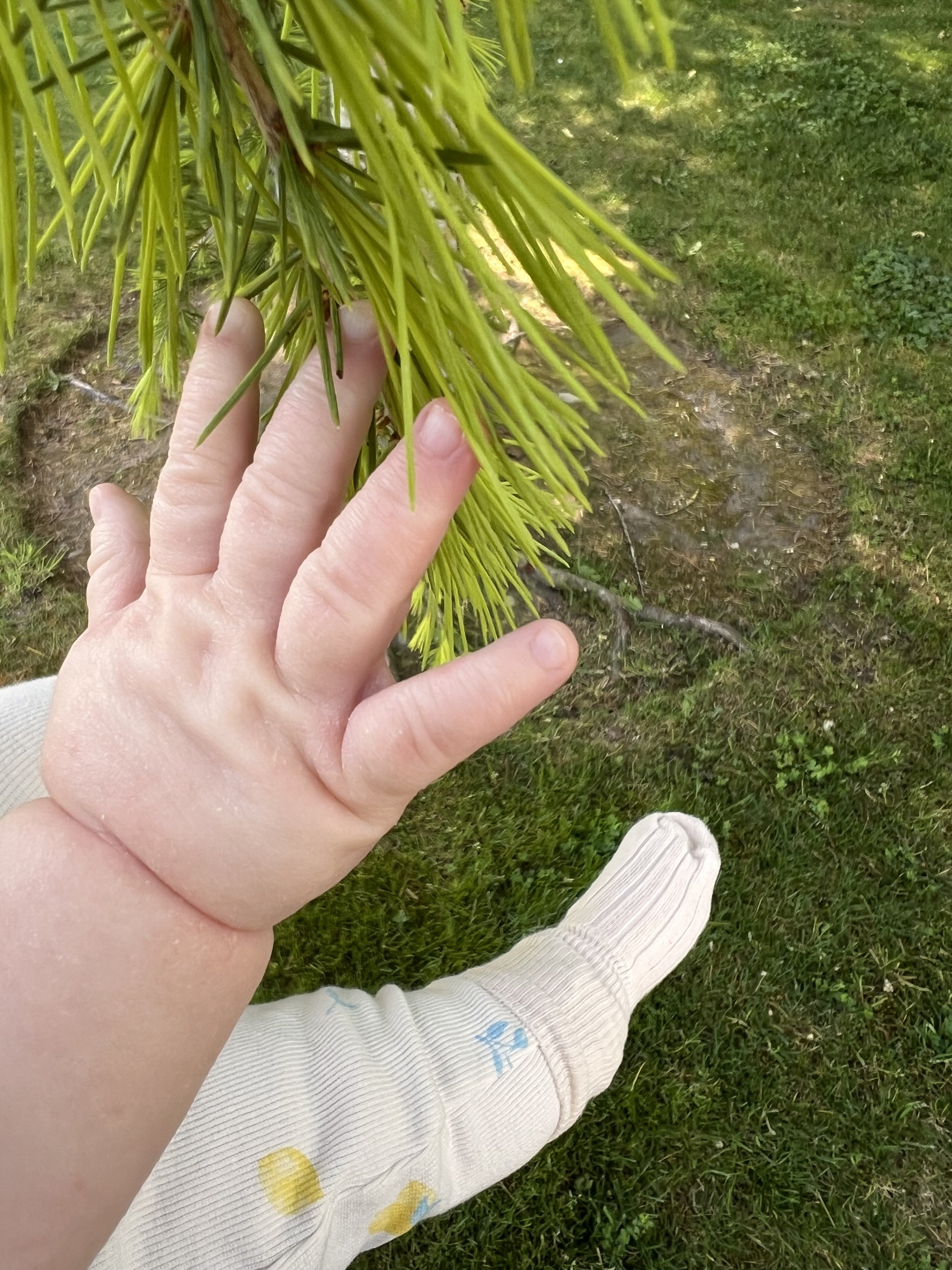 Nurturing Nature’s Nuturers
