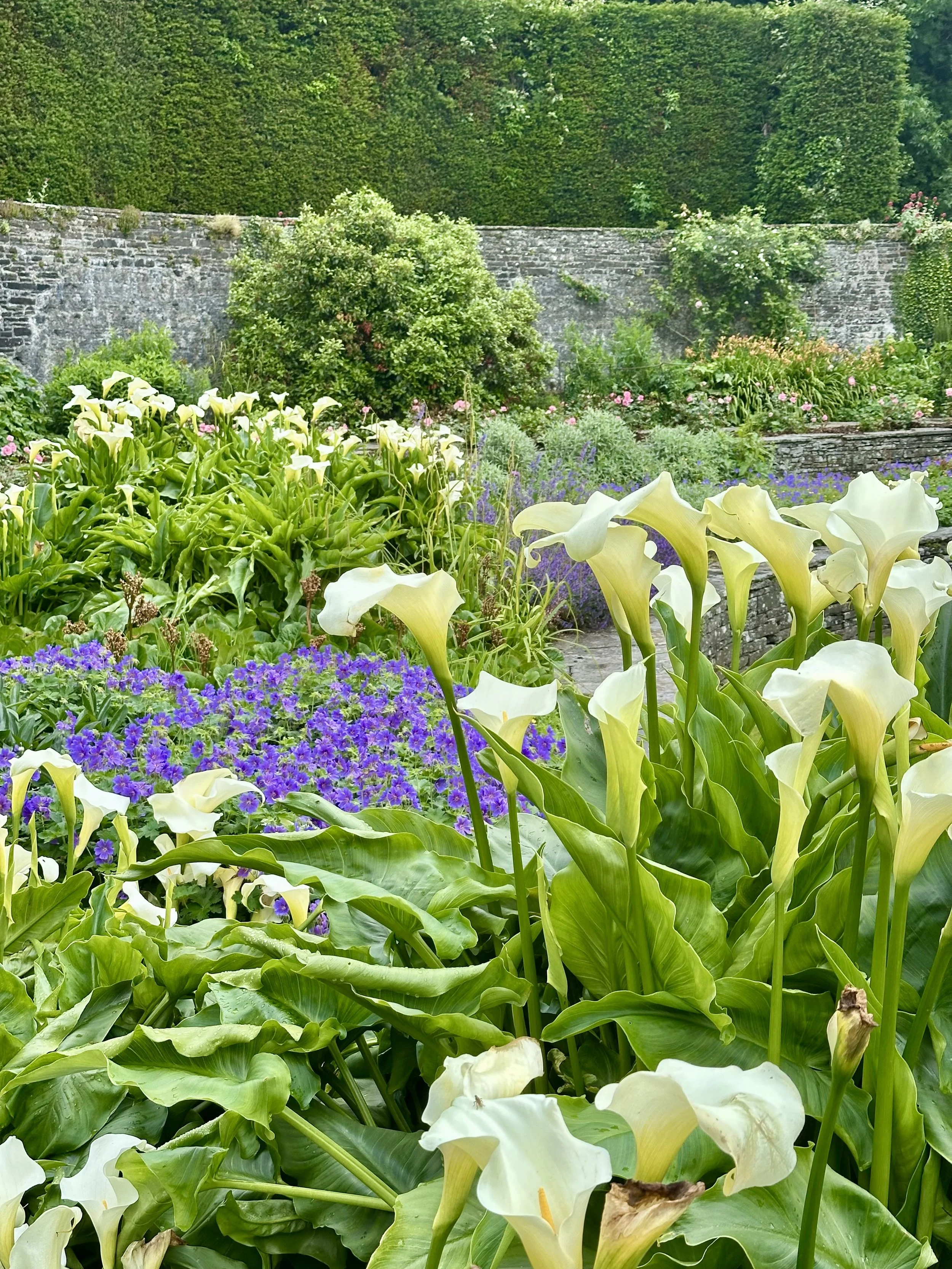 Ireland