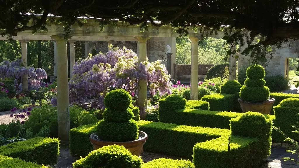 A lush garden scene with topiary bushes shaped into spheres and rectangular hedges, under a shaded pergola with support columns. There are wisteria in the background.