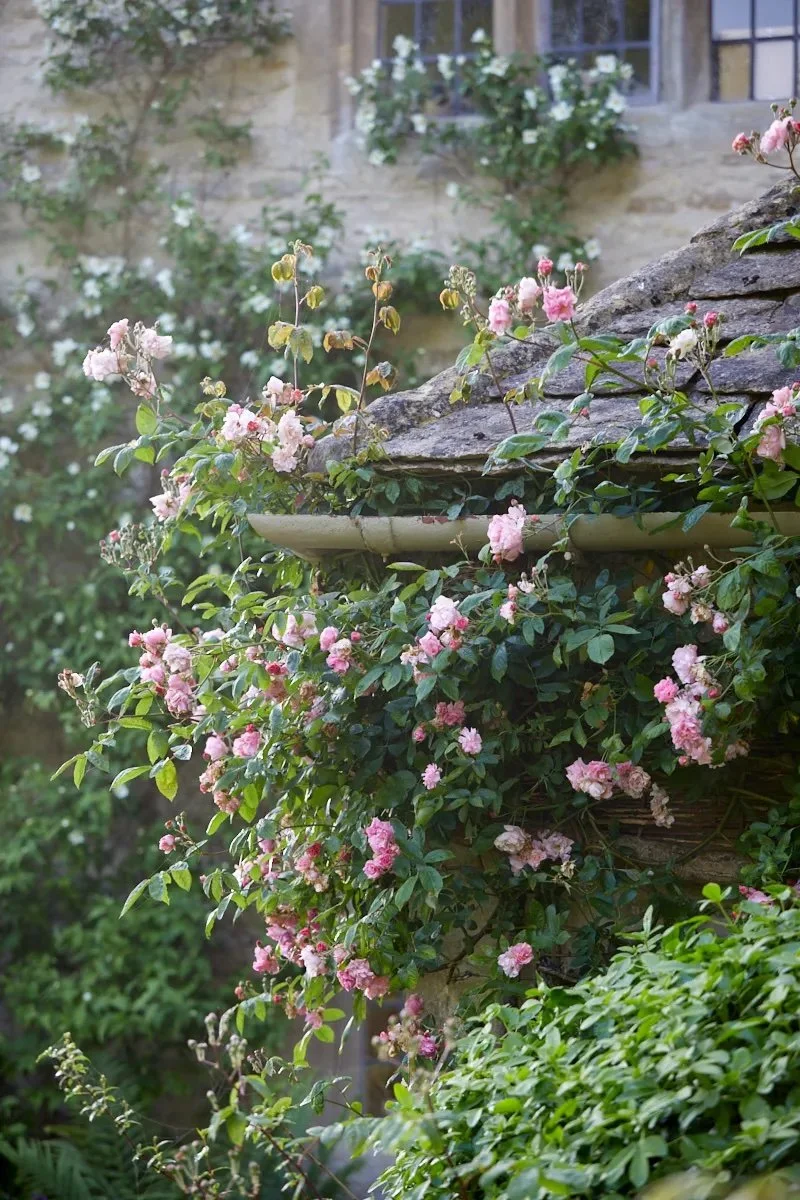 Cotswolds estate at sunrise