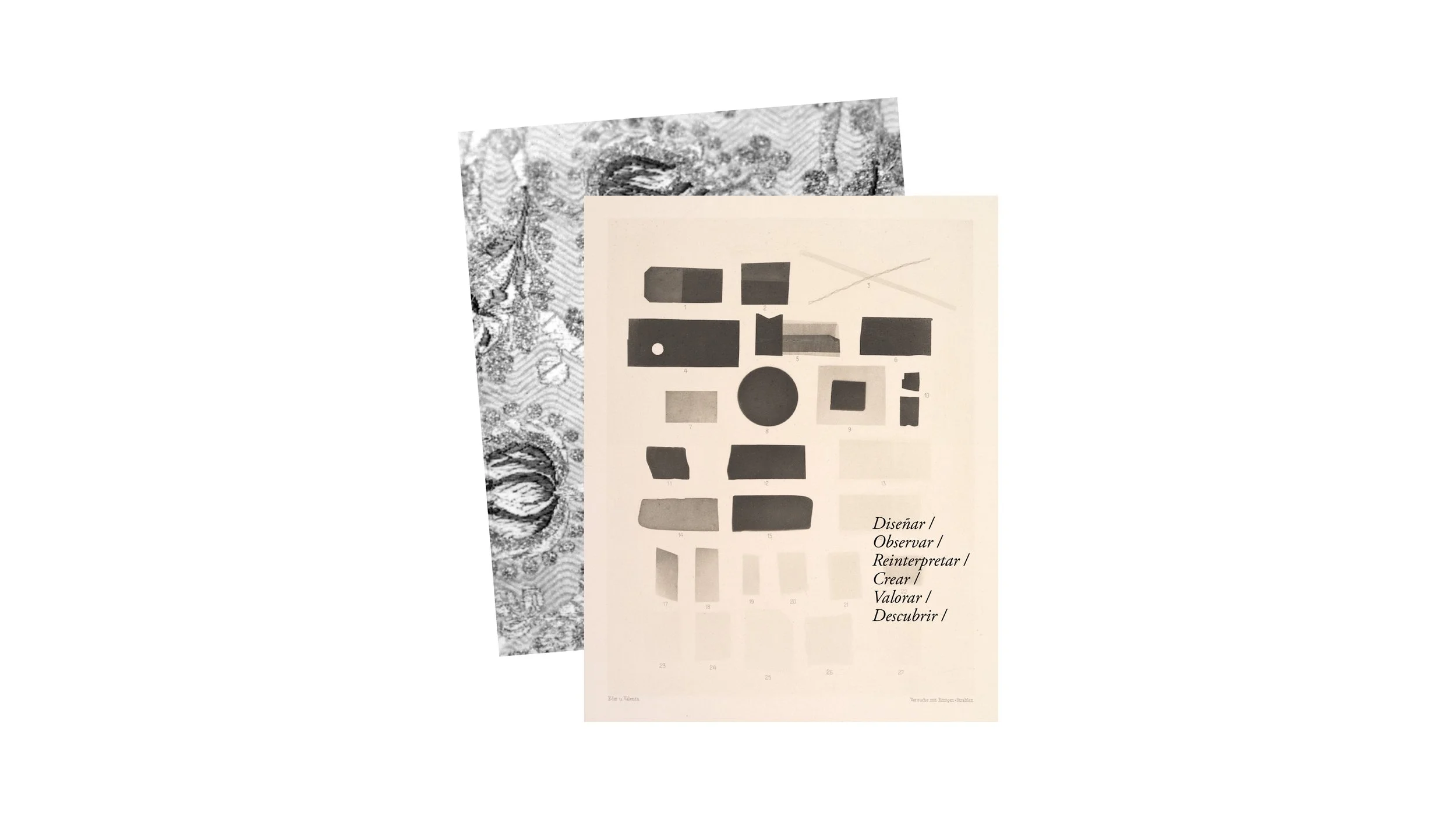 ETC Branding-45.jpg