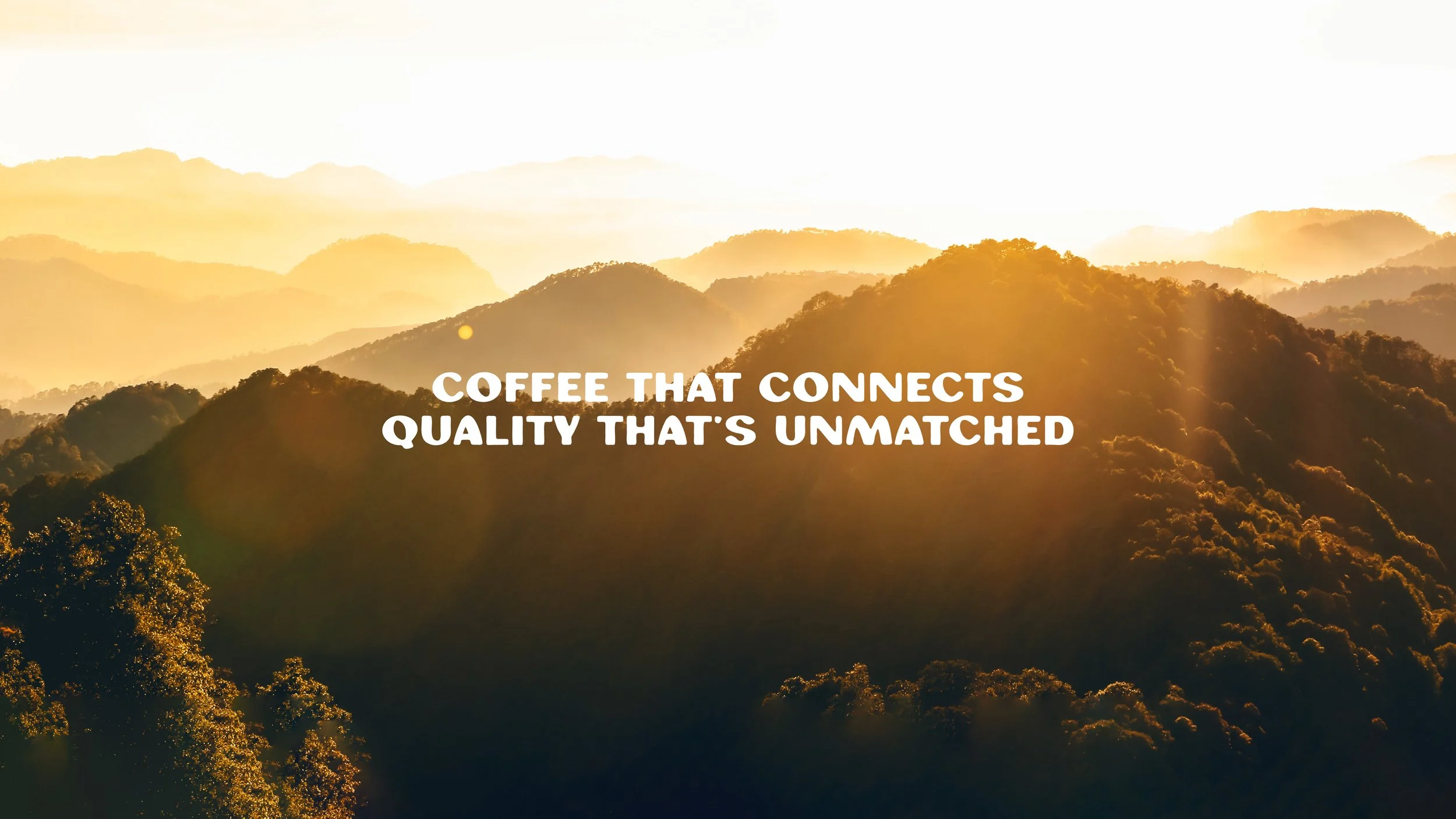 JUNTOS BRANDINGk entrega2-01.jpg