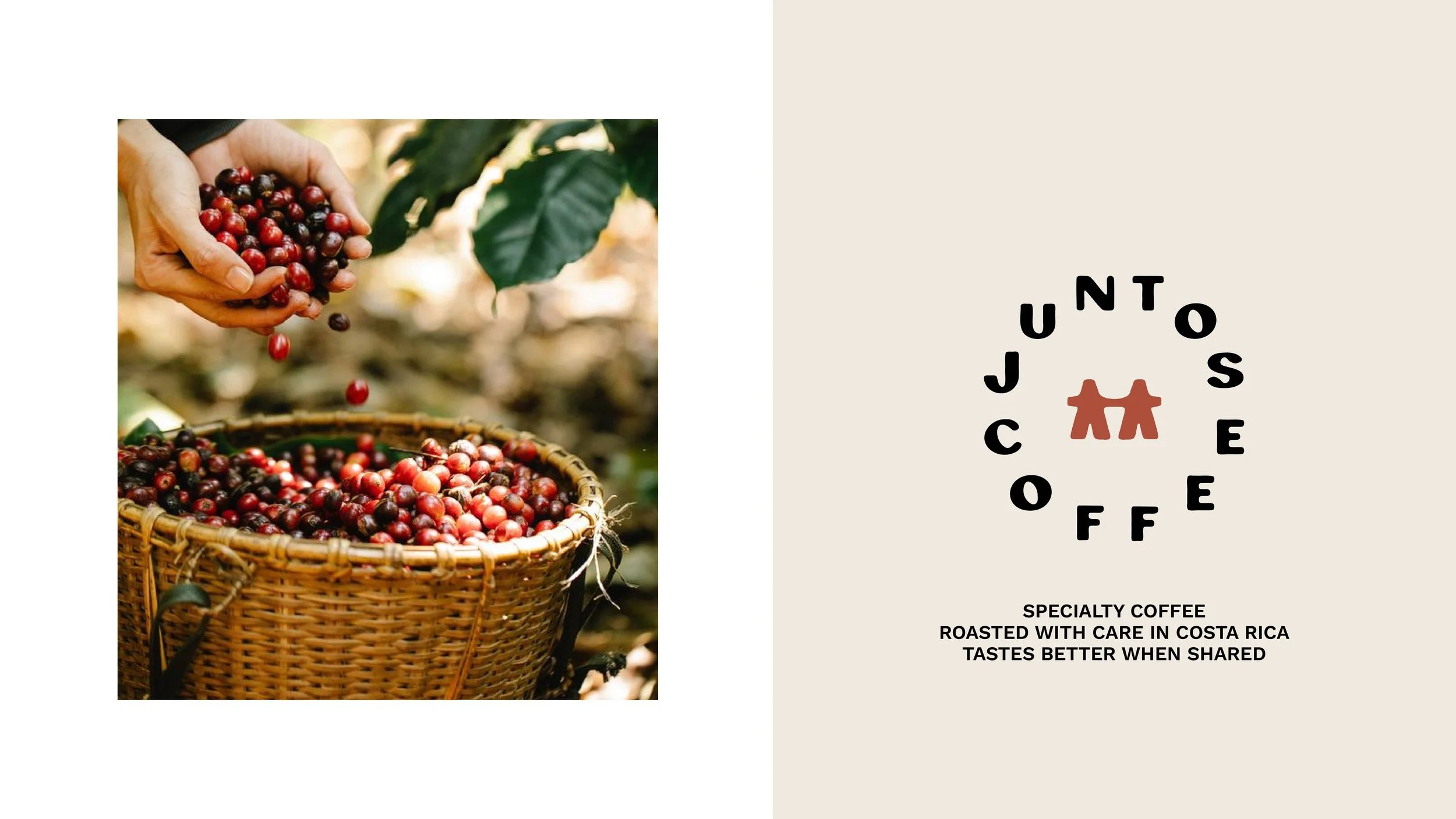 JUNTOS BRANDINGk entrega2-03.jpg