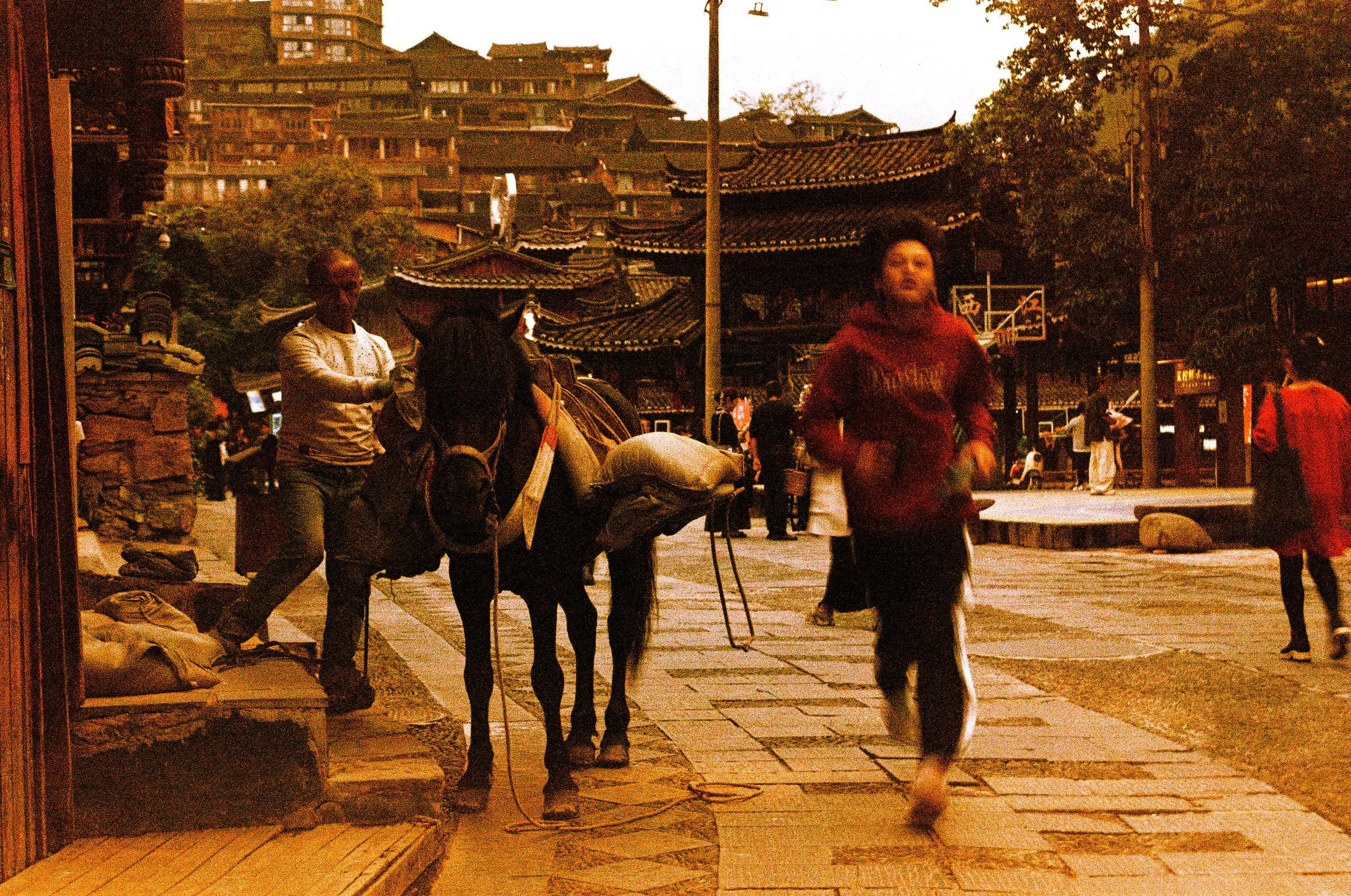 000009400007 copy.jpg