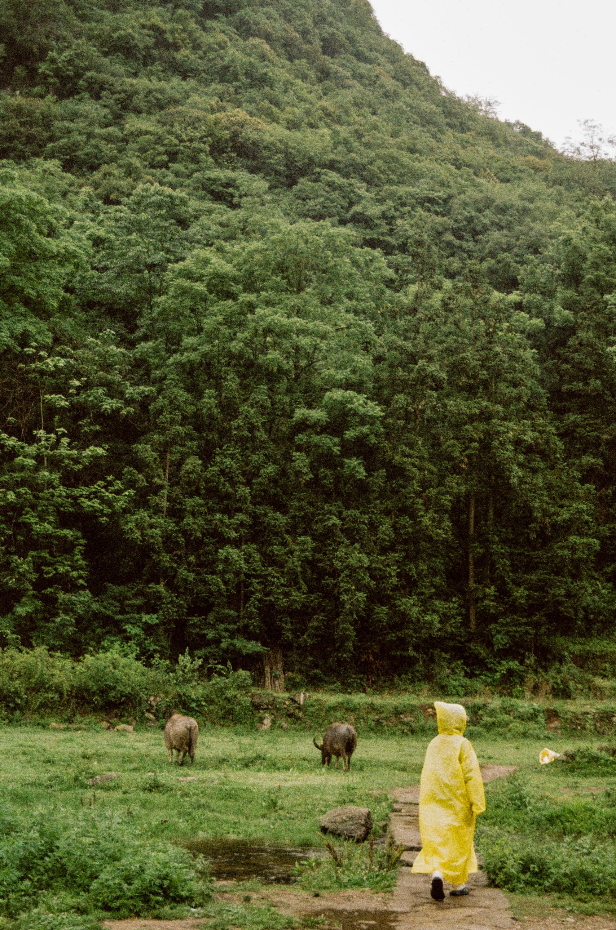 000009380031 copy.JPG