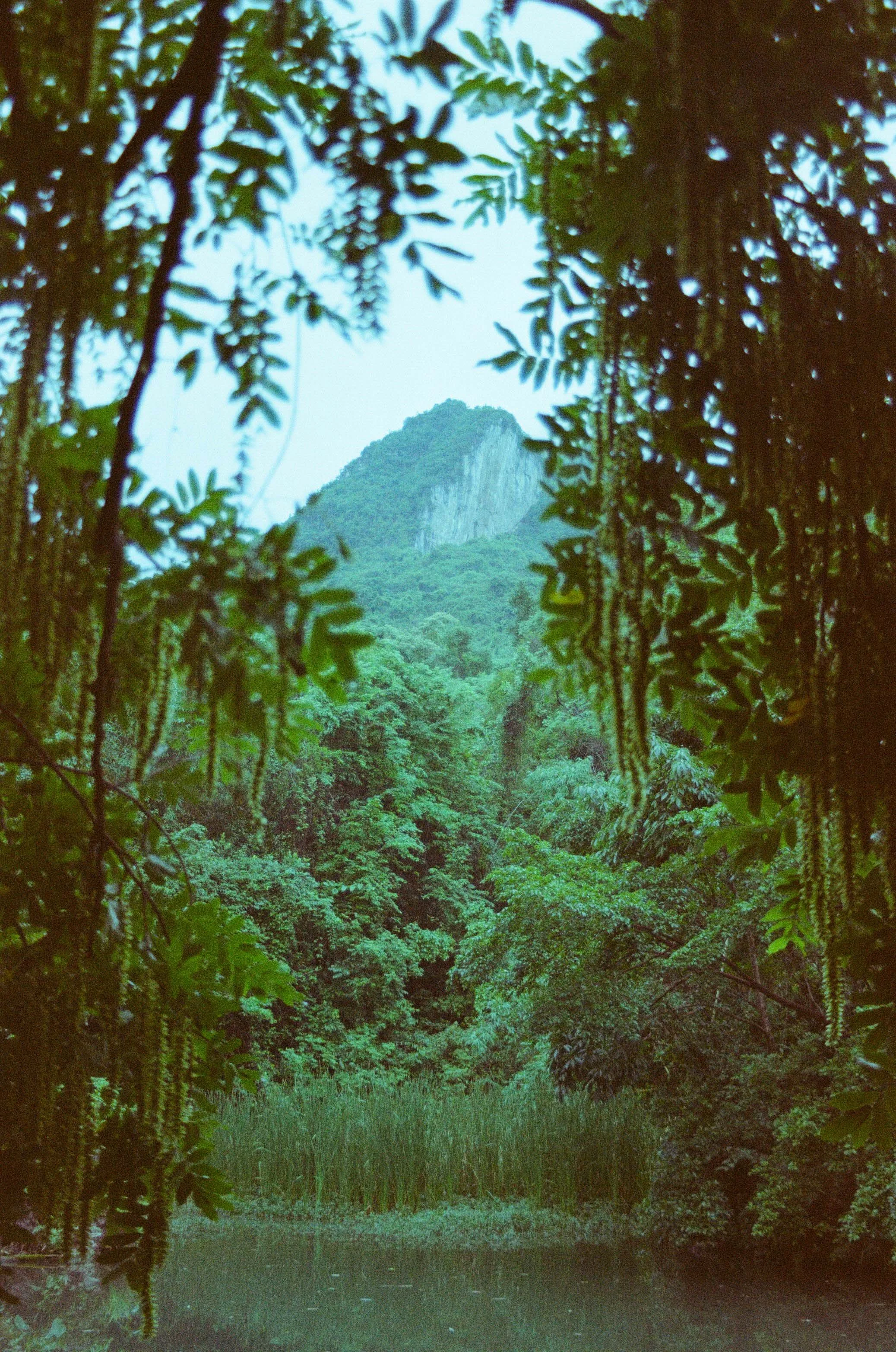 000009410013 copy.jpg