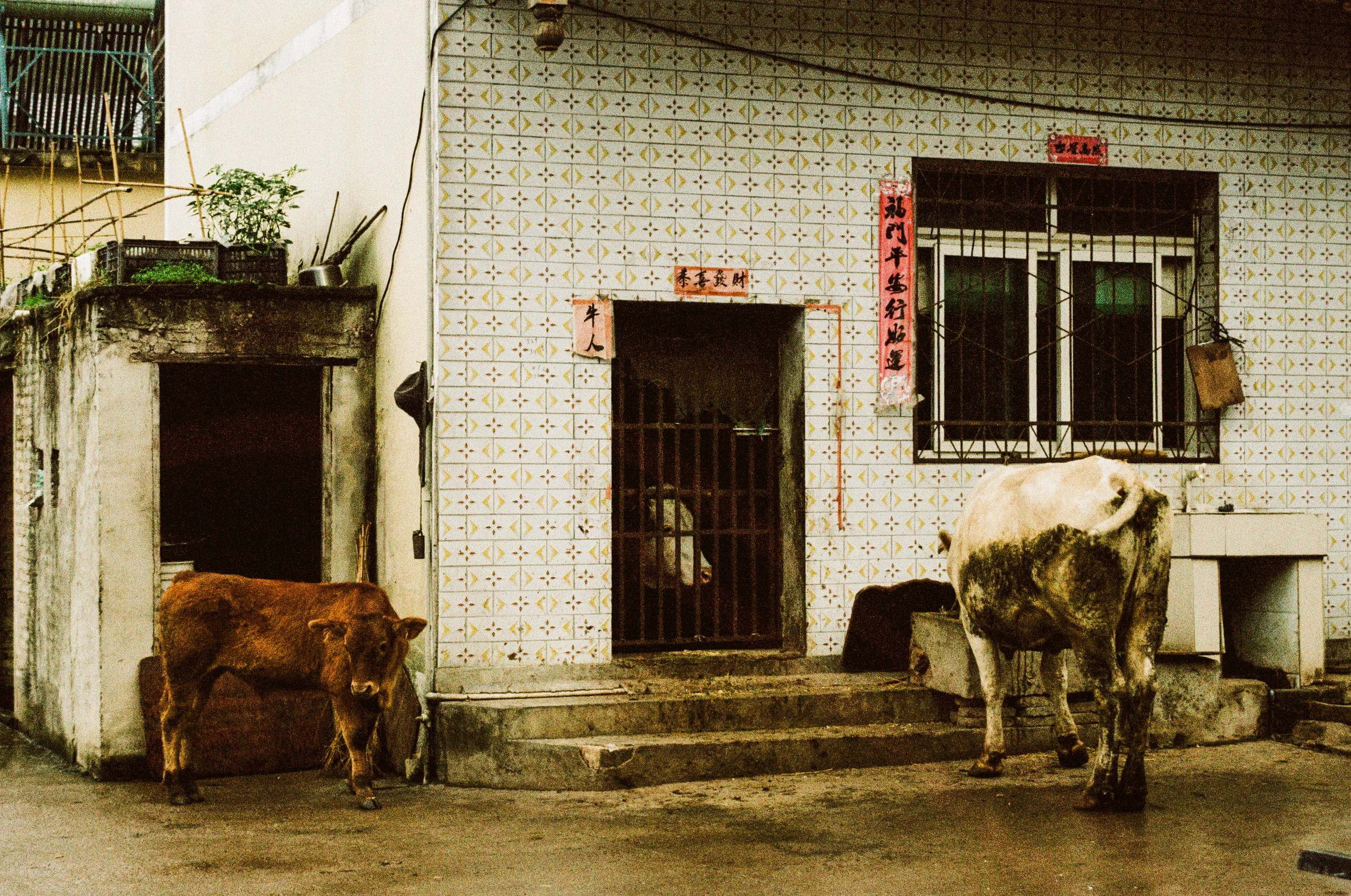 000009380035 copy.JPG