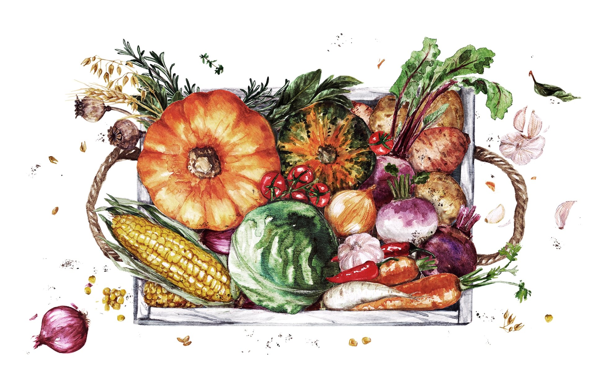 Miscellaneous_harvestbox_copirighted content _NataliaHubbert Art _.jpg