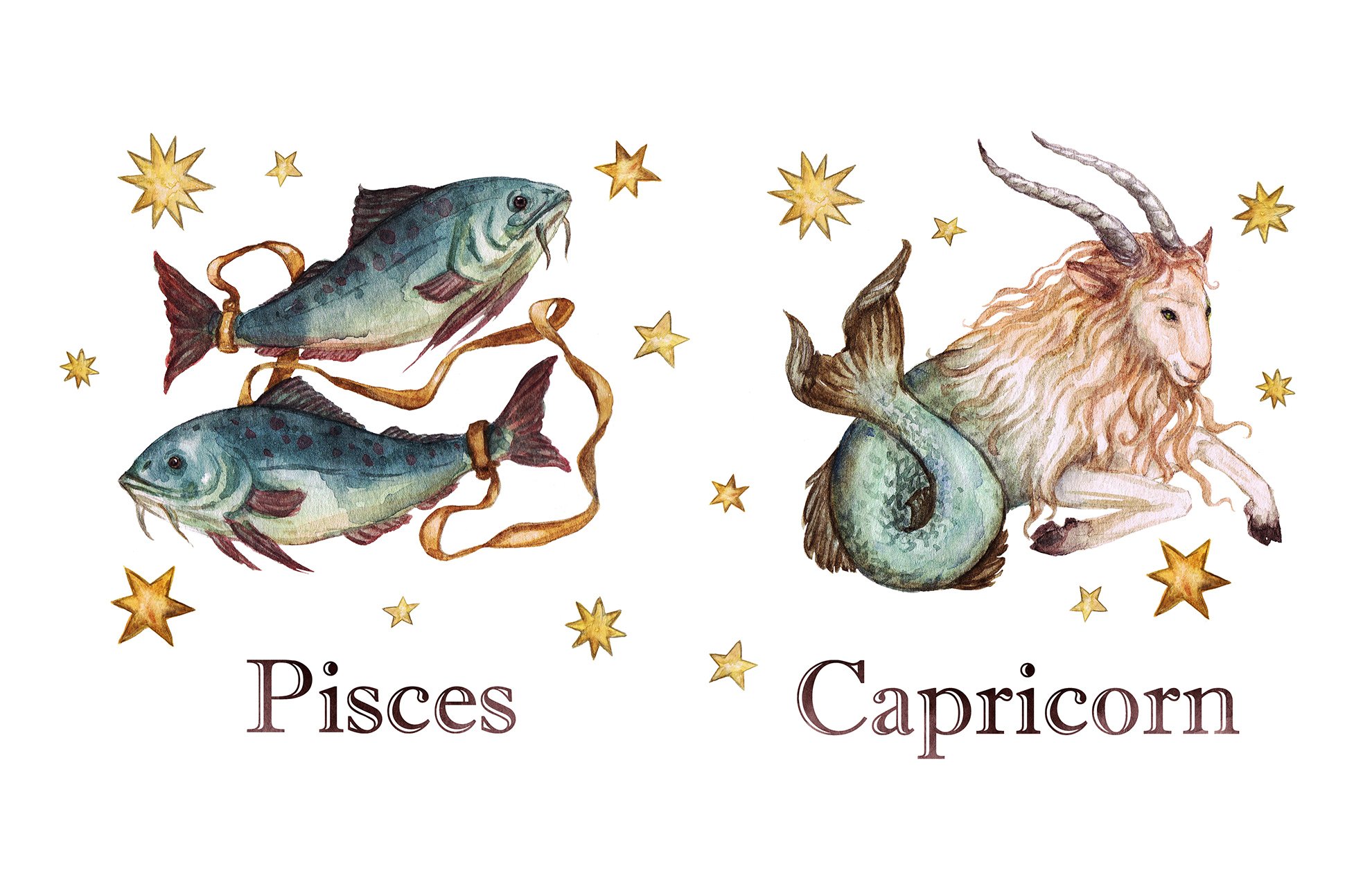 Zodiac_Traditional2_copirighted content _NataliaHubbert Art.jpg