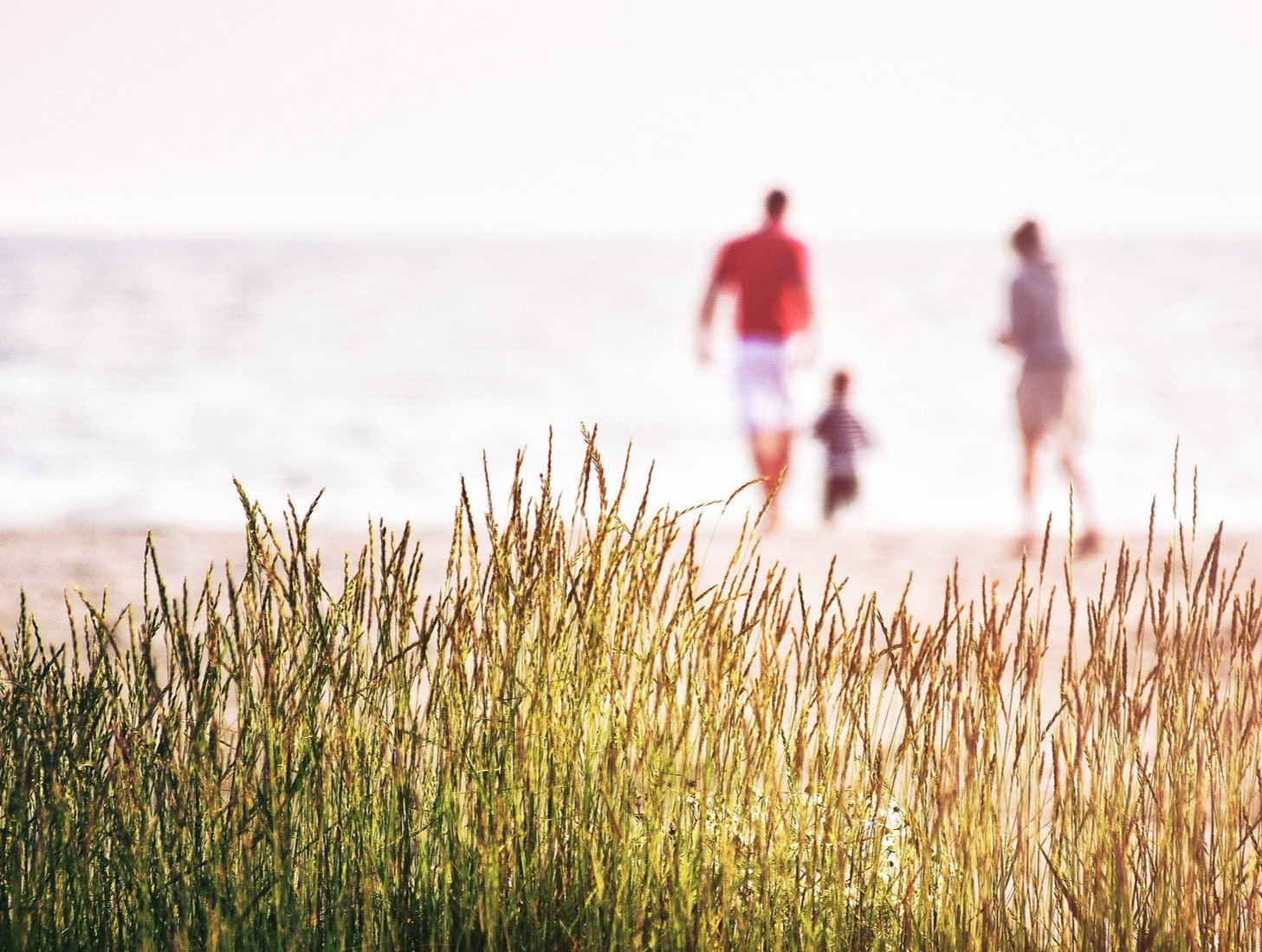 Bild von Dave Gerber auf Pixabay .jpg