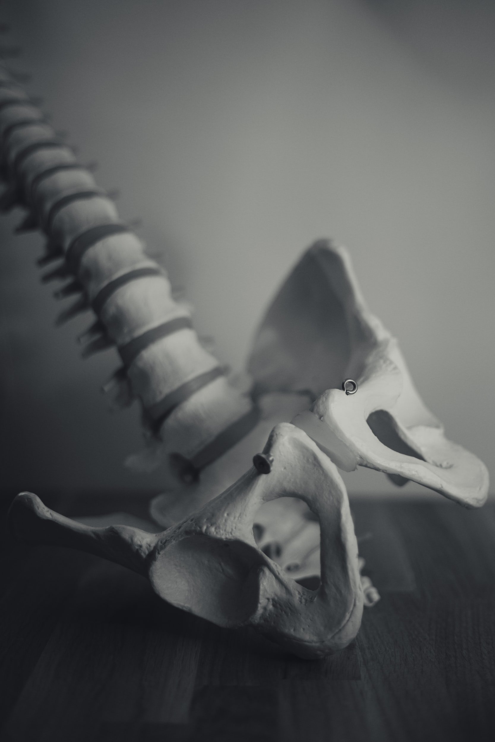 Evolve Pelvic Health & Wellness