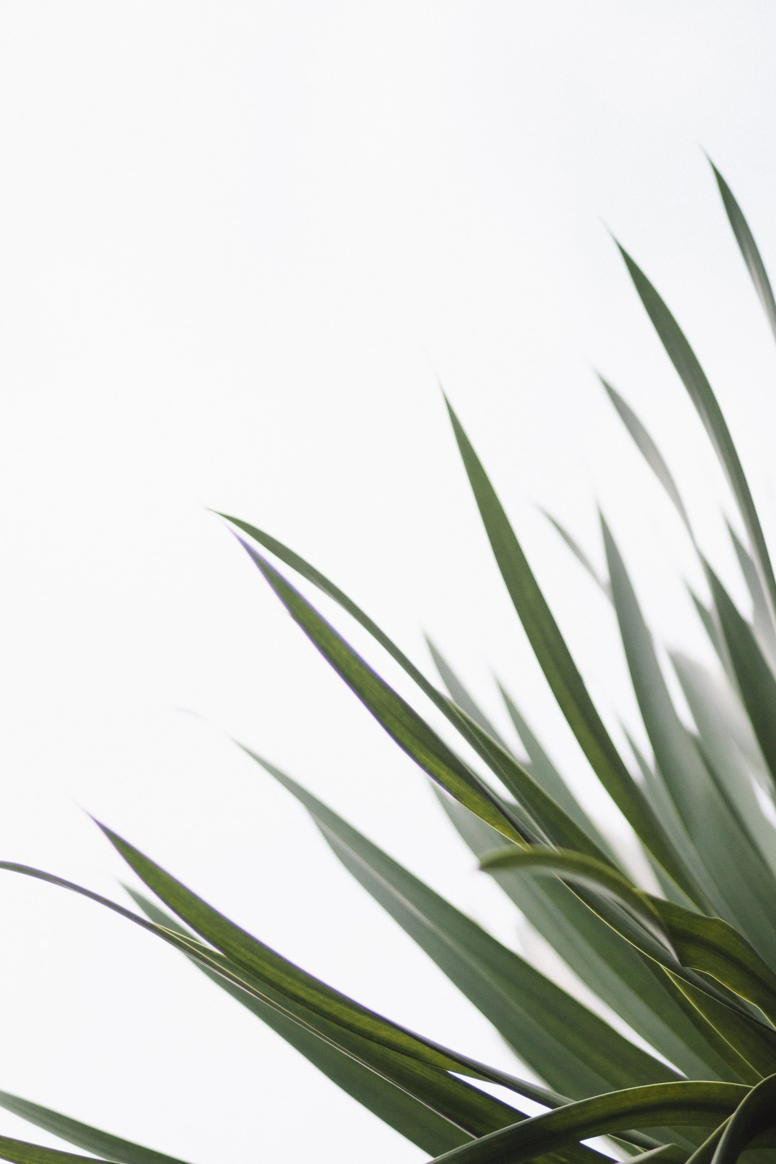 Evolve Pelvic Health & Wellness